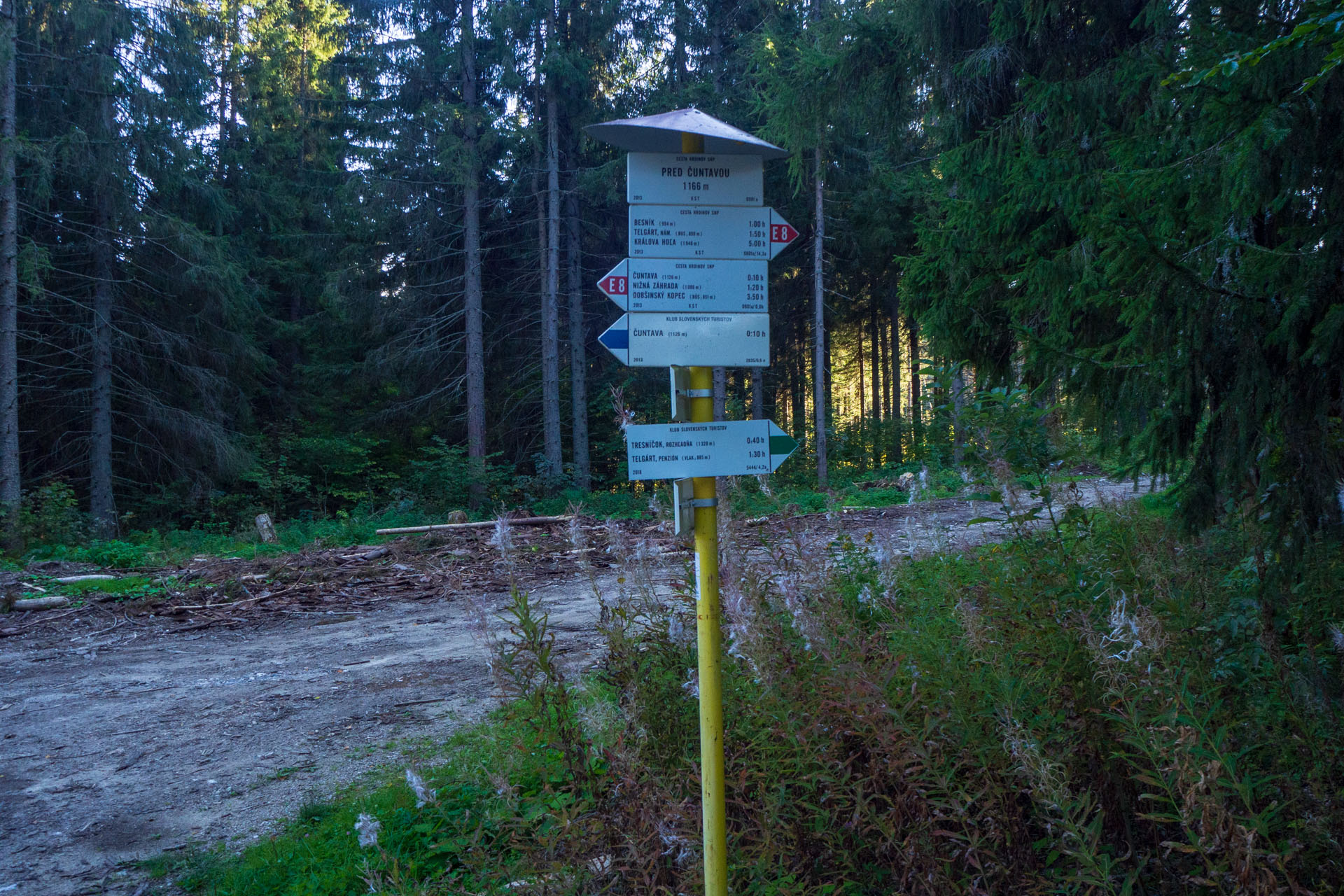 Ondrejisko (Borovniak) zo sedla Besník s nocľahom (Slovenský raj)