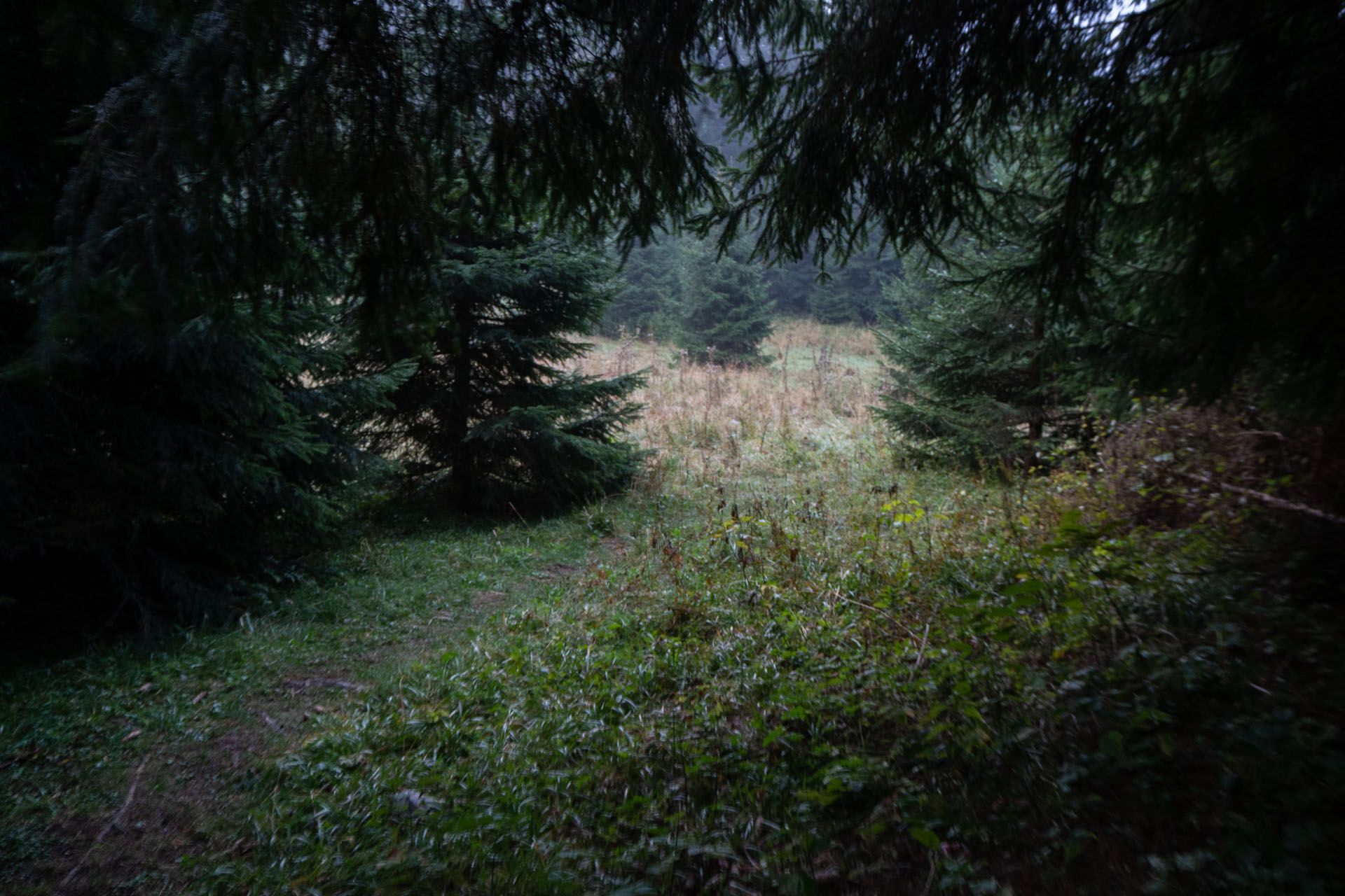 Ondrejisko (Borovniak) zo sedla Besník s nocľahom (Slovenský raj)