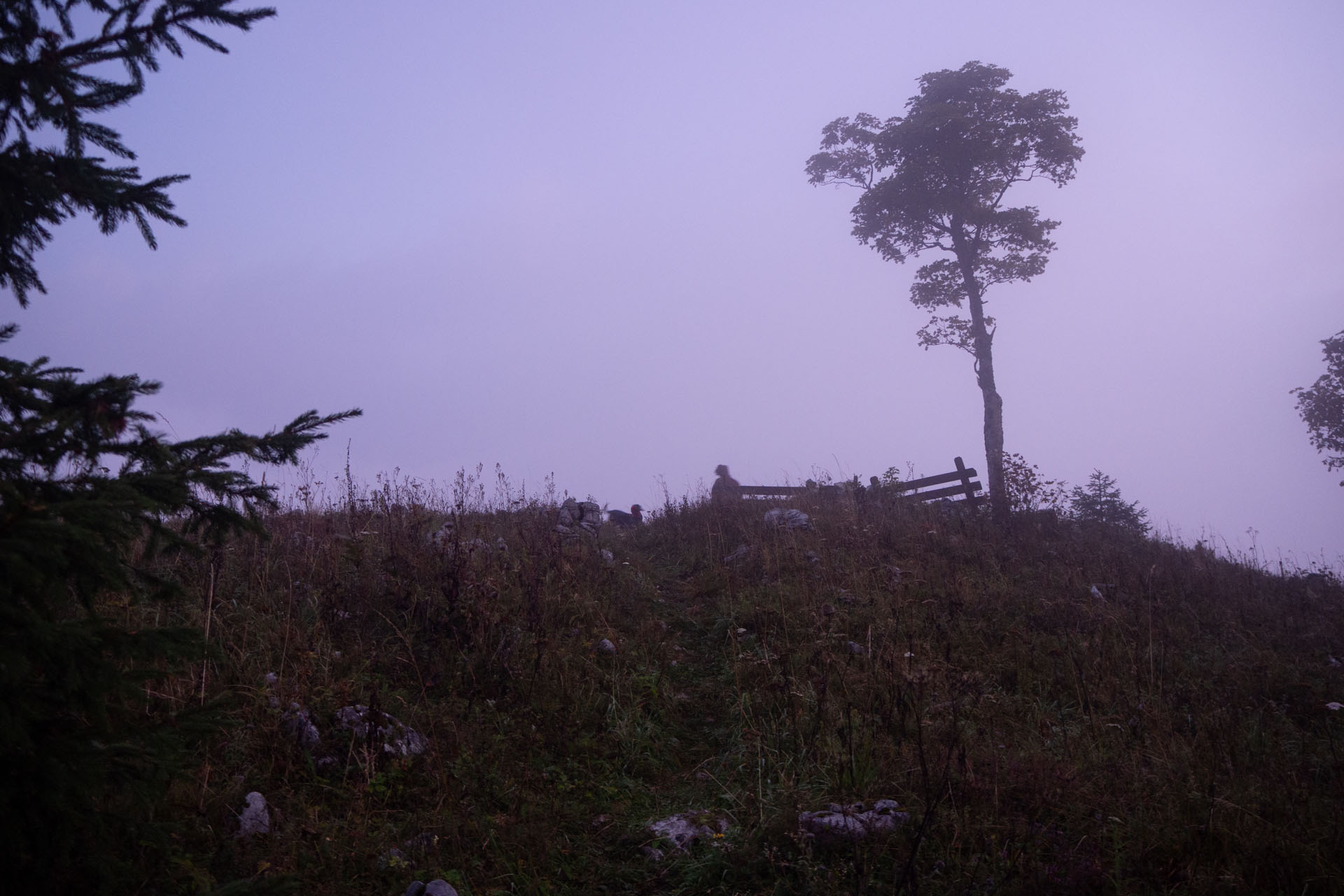 Ondrejisko (Borovniak) zo sedla Besník s nocľahom (Slovenský raj)