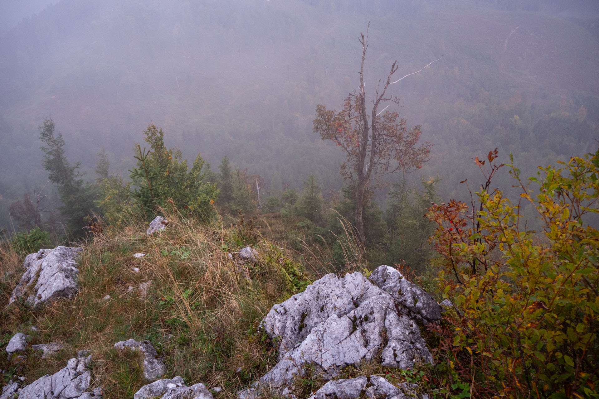 Ondrejisko (Borovniak) zo sedla Besník s nocľahom (Slovenský raj)