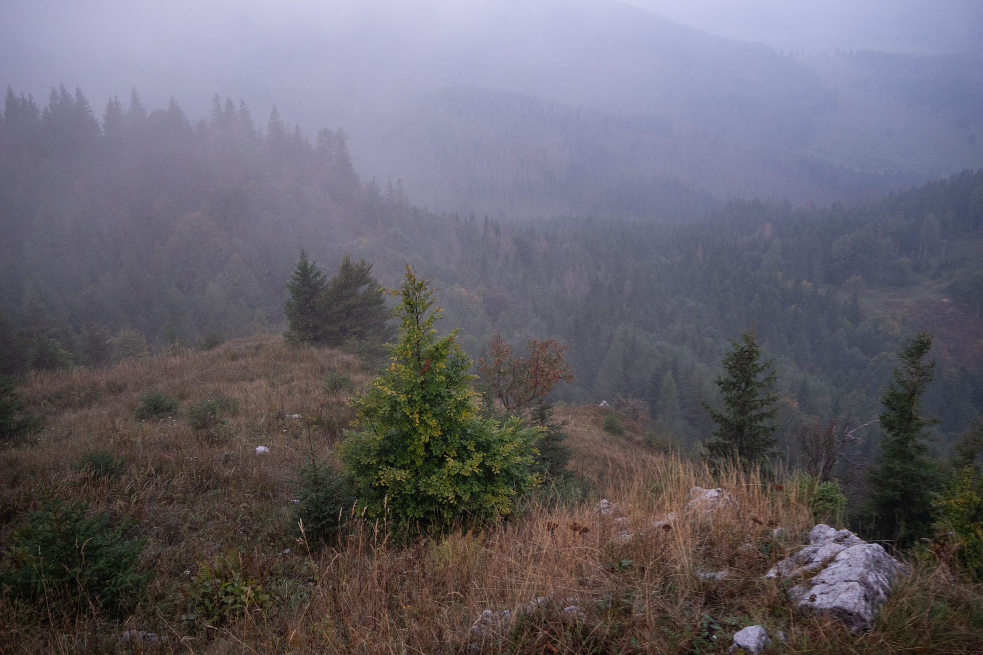 Ondrejisko (Borovniak) zo sedla Besník s nocľahom (Slovenský raj)