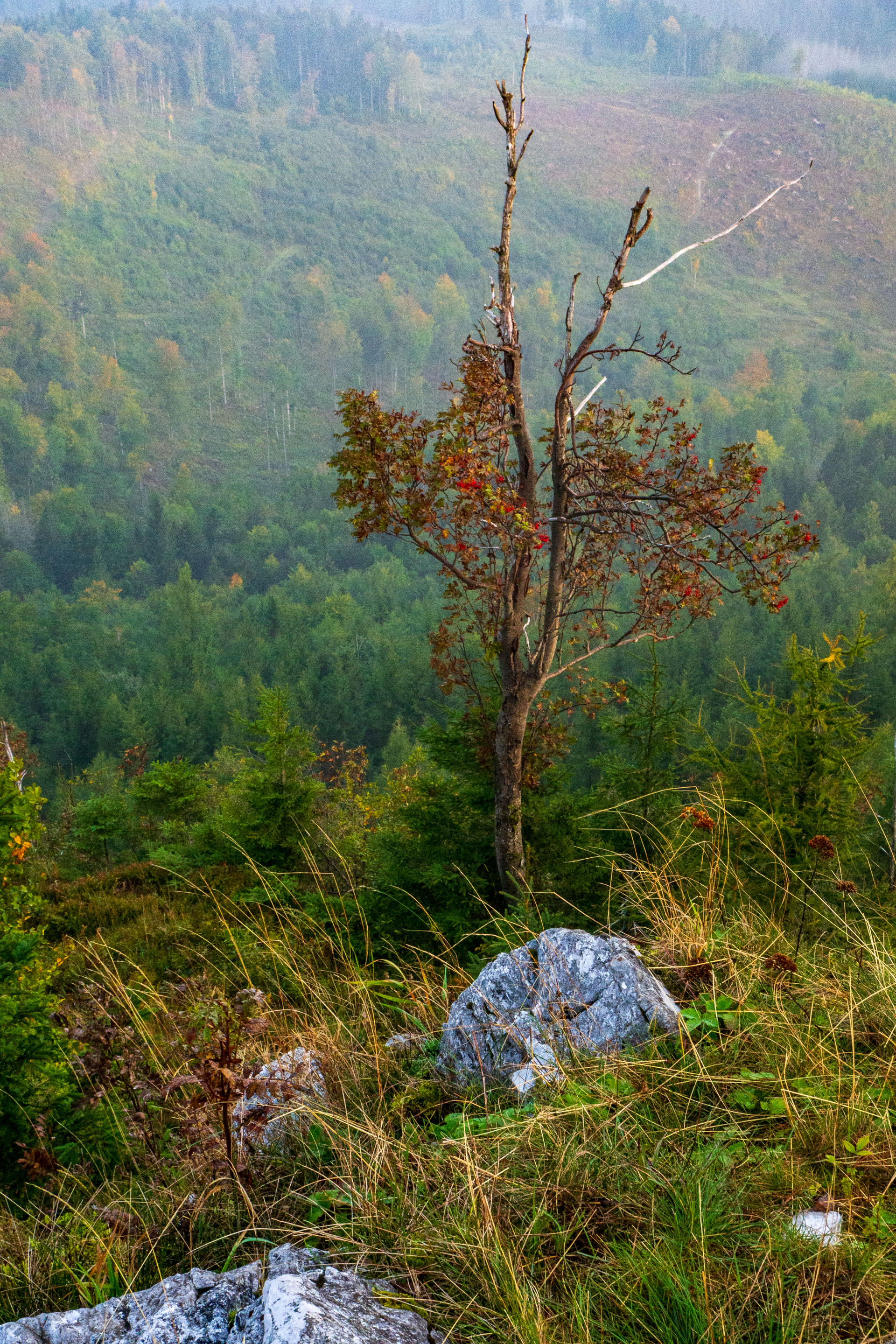 Ondrejisko (Borovniak) zo sedla Besník s nocľahom (Slovenský raj)