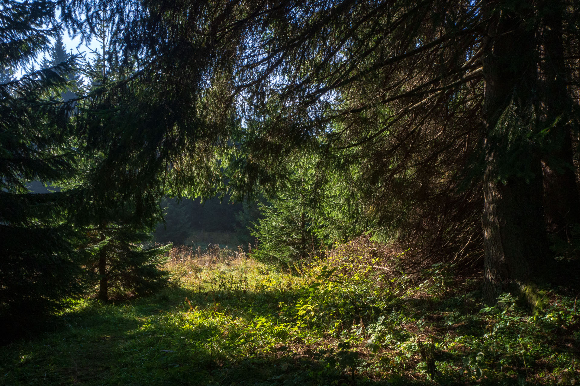 Ondrejisko (Borovniak) zo sedla Besník s nocľahom (Slovenský raj)