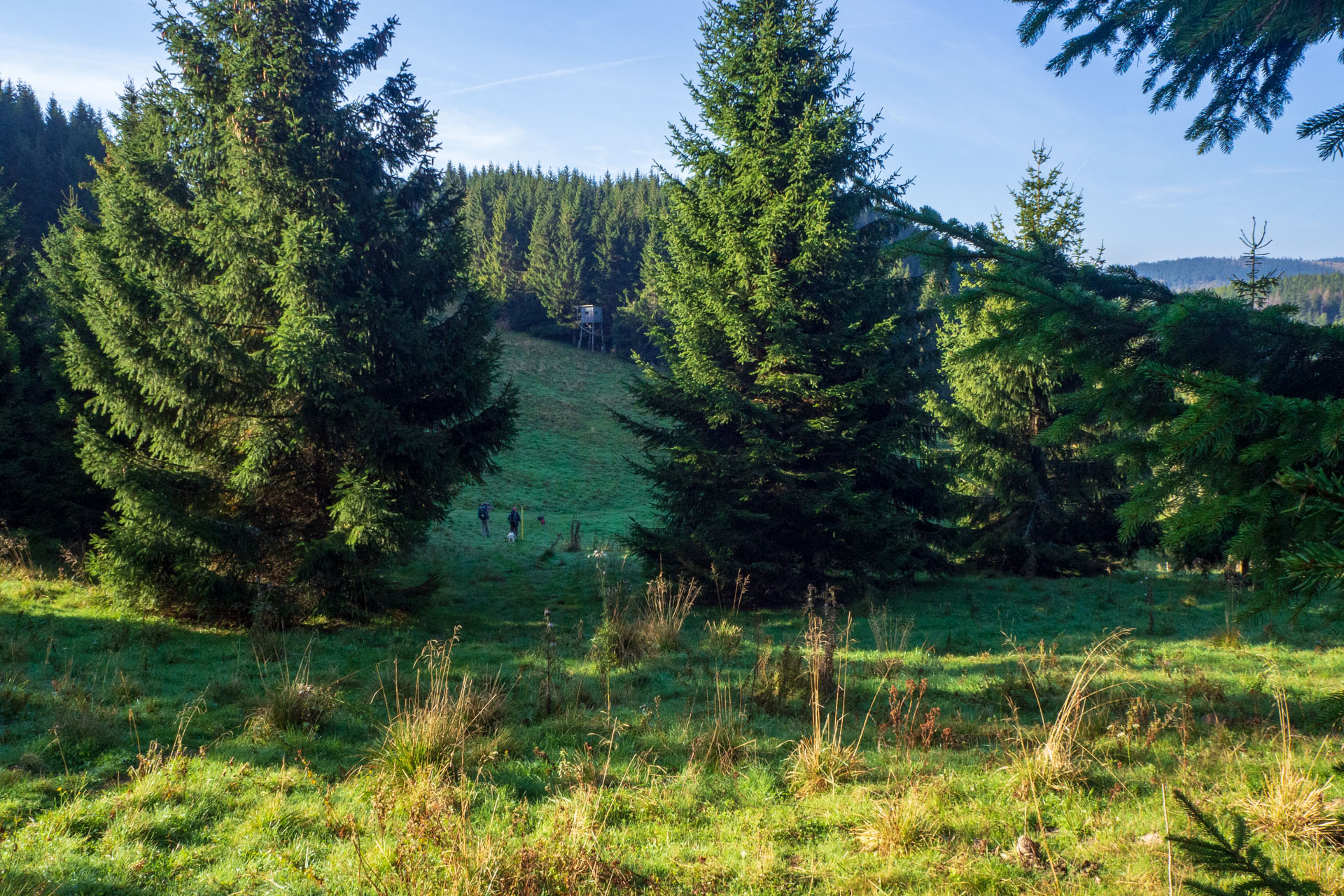 Ondrejisko (Borovniak) zo sedla Besník s nocľahom (Slovenský raj)