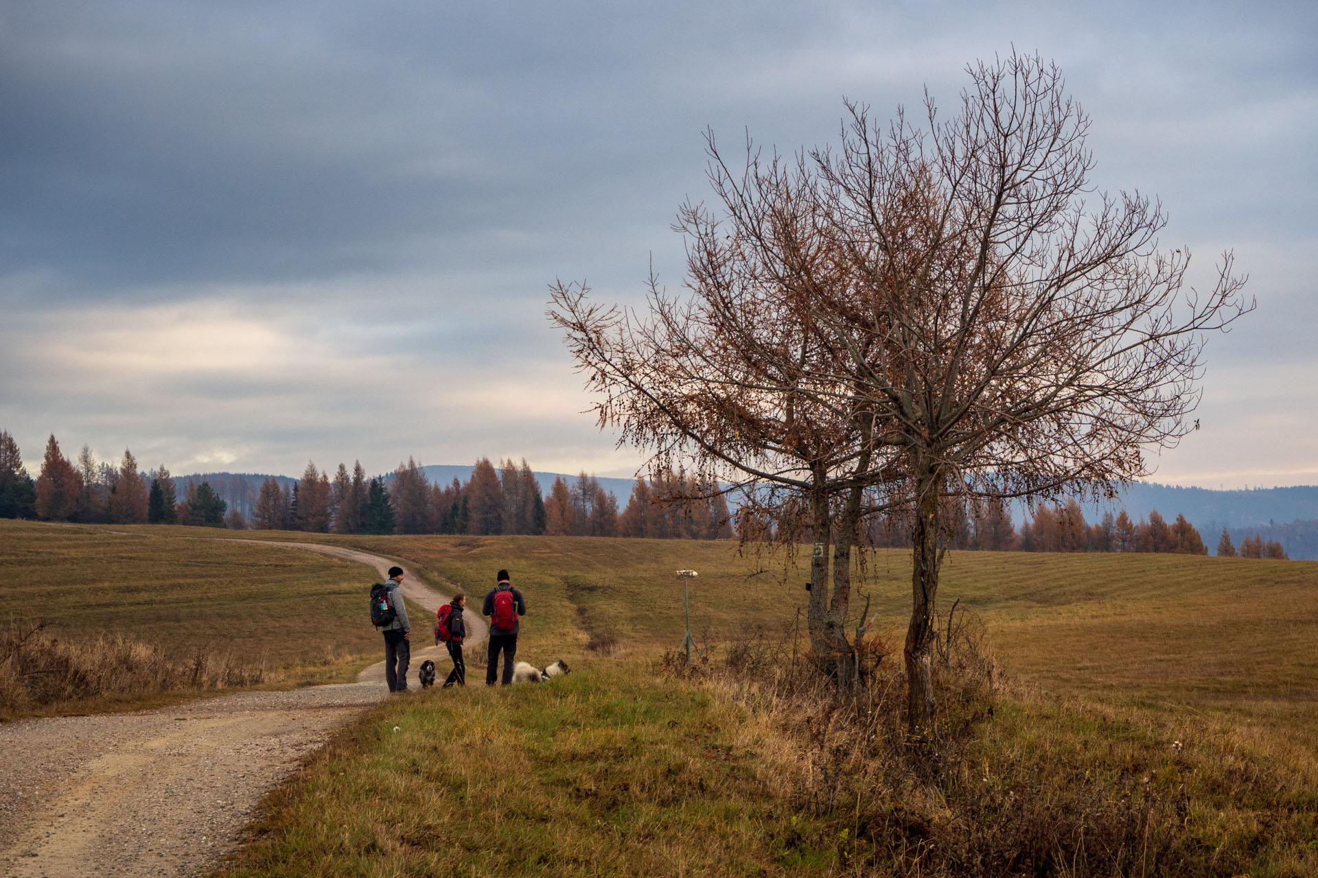 Pamätník SNP z Pod Krížovým vrchom (Levočské vrchy)