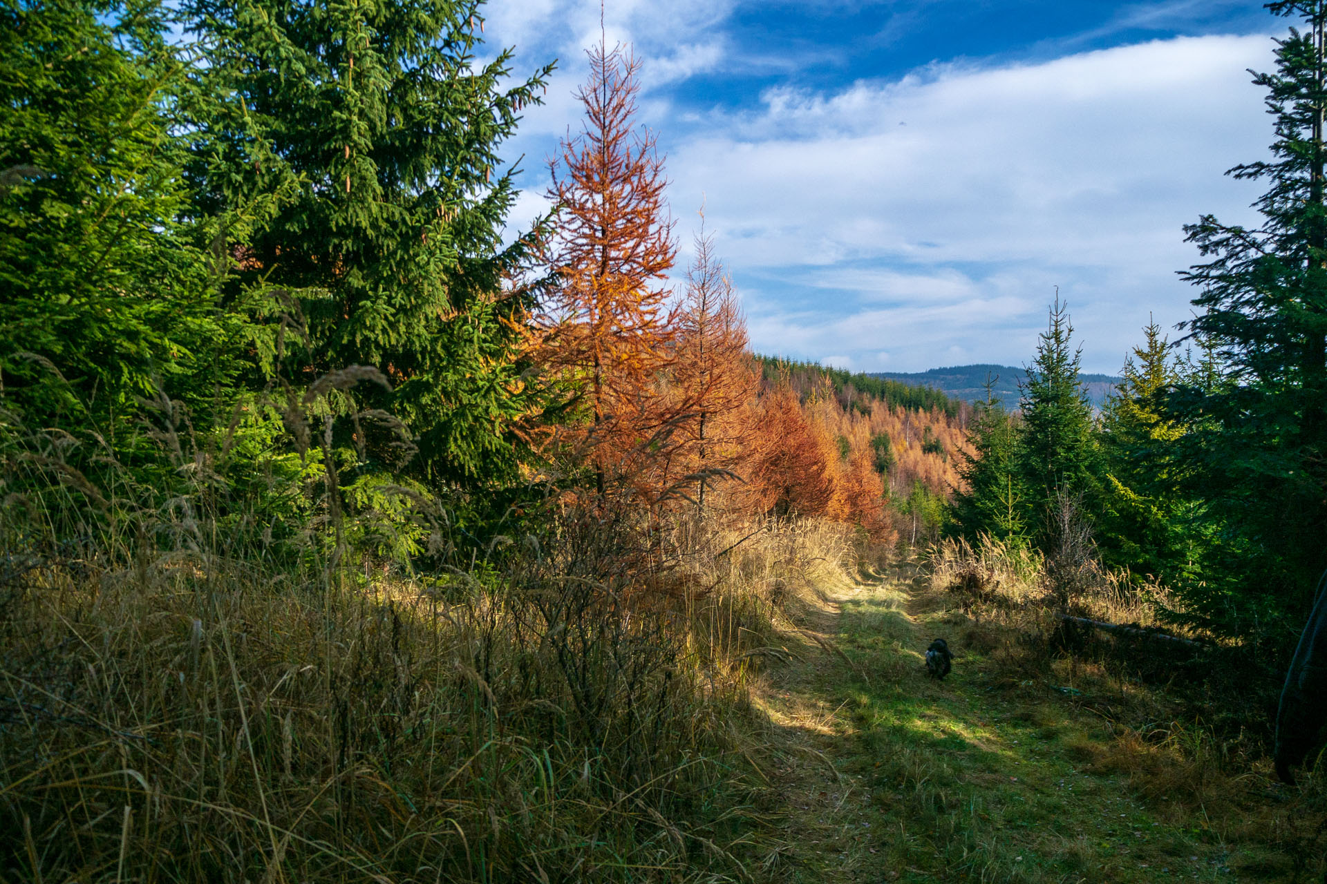 Pamätník SNP z Pod Krížovým vrchom (Levočské vrchy)