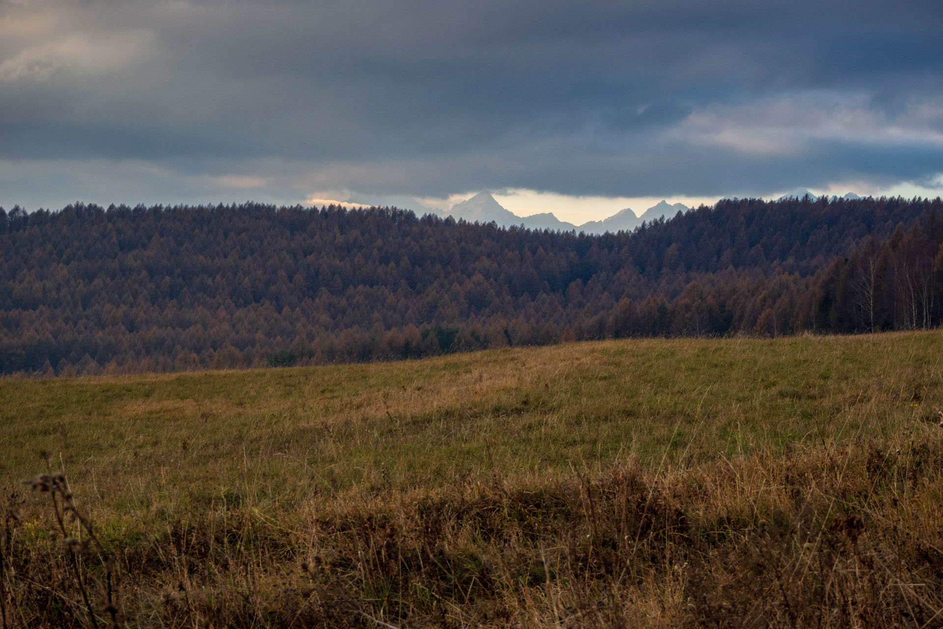 Pamätník SNP z Pod Krížovým vrchom (Levočské vrchy)