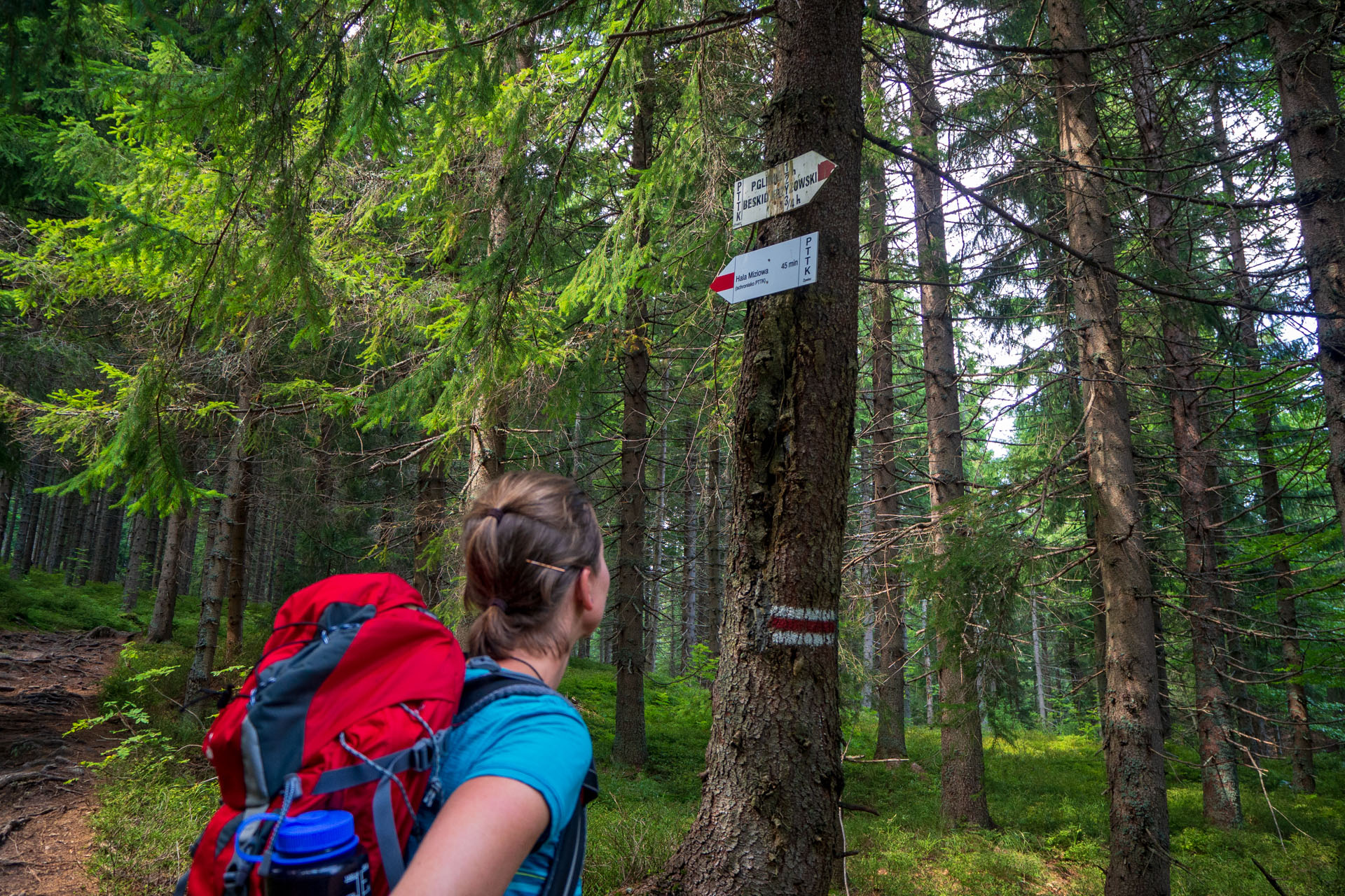 Pilsko zo sedla Hliny (Oravské Beskydy)