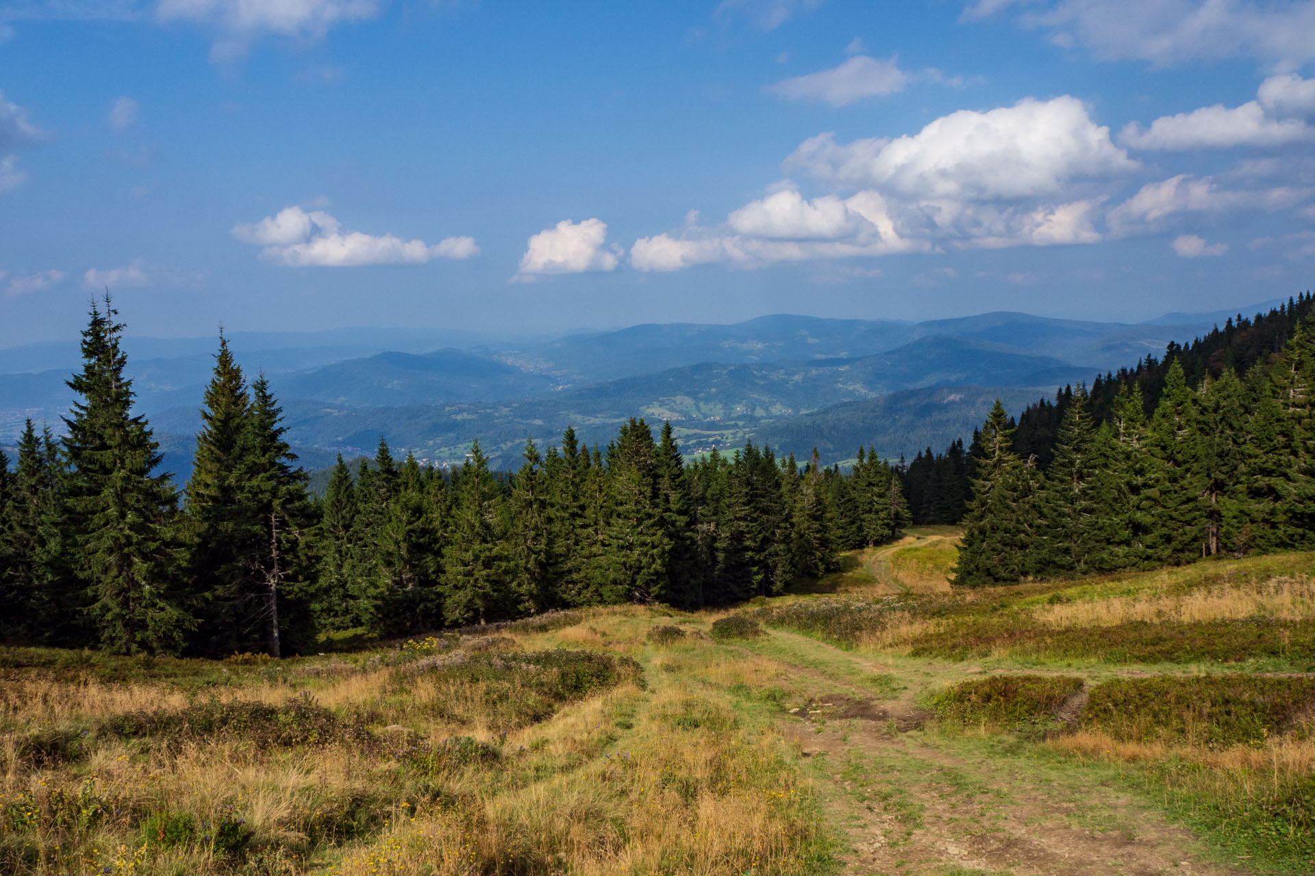 Pilsko zo sedla Hliny (Oravské Beskydy)