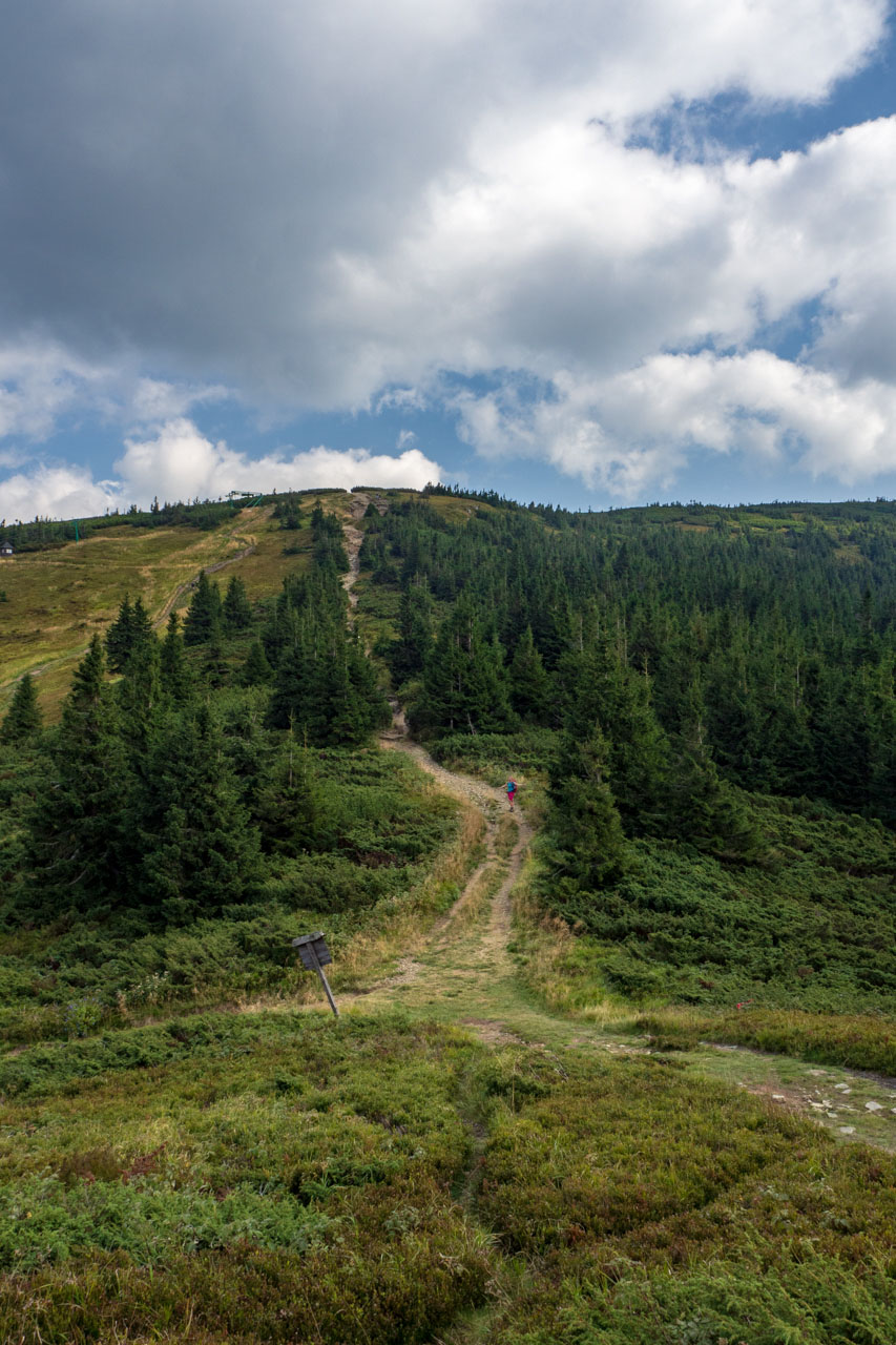 Pilsko zo sedla Hliny (Oravské Beskydy)