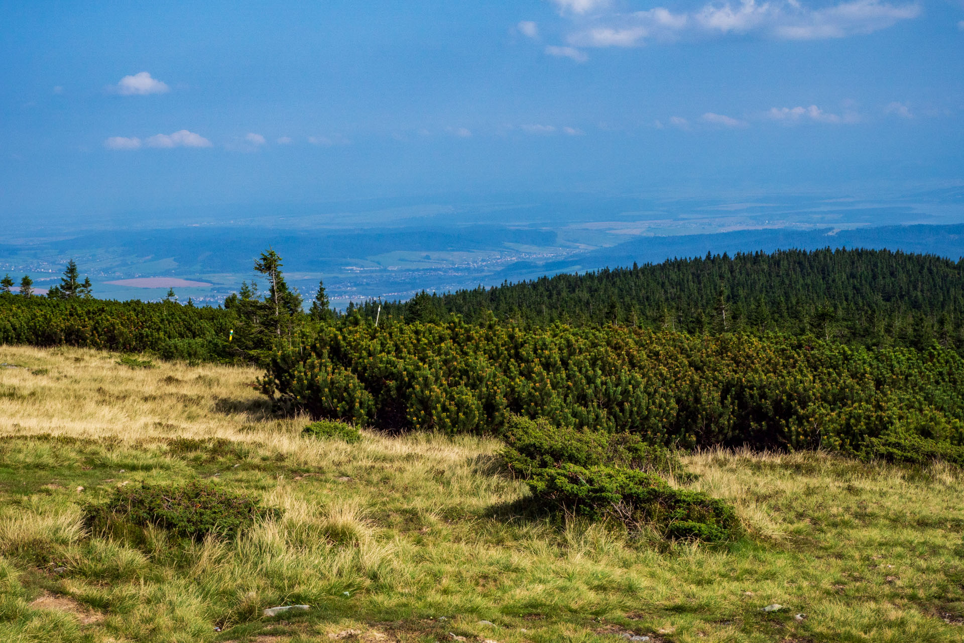 Pilsko zo sedla Hliny (Oravské Beskydy)