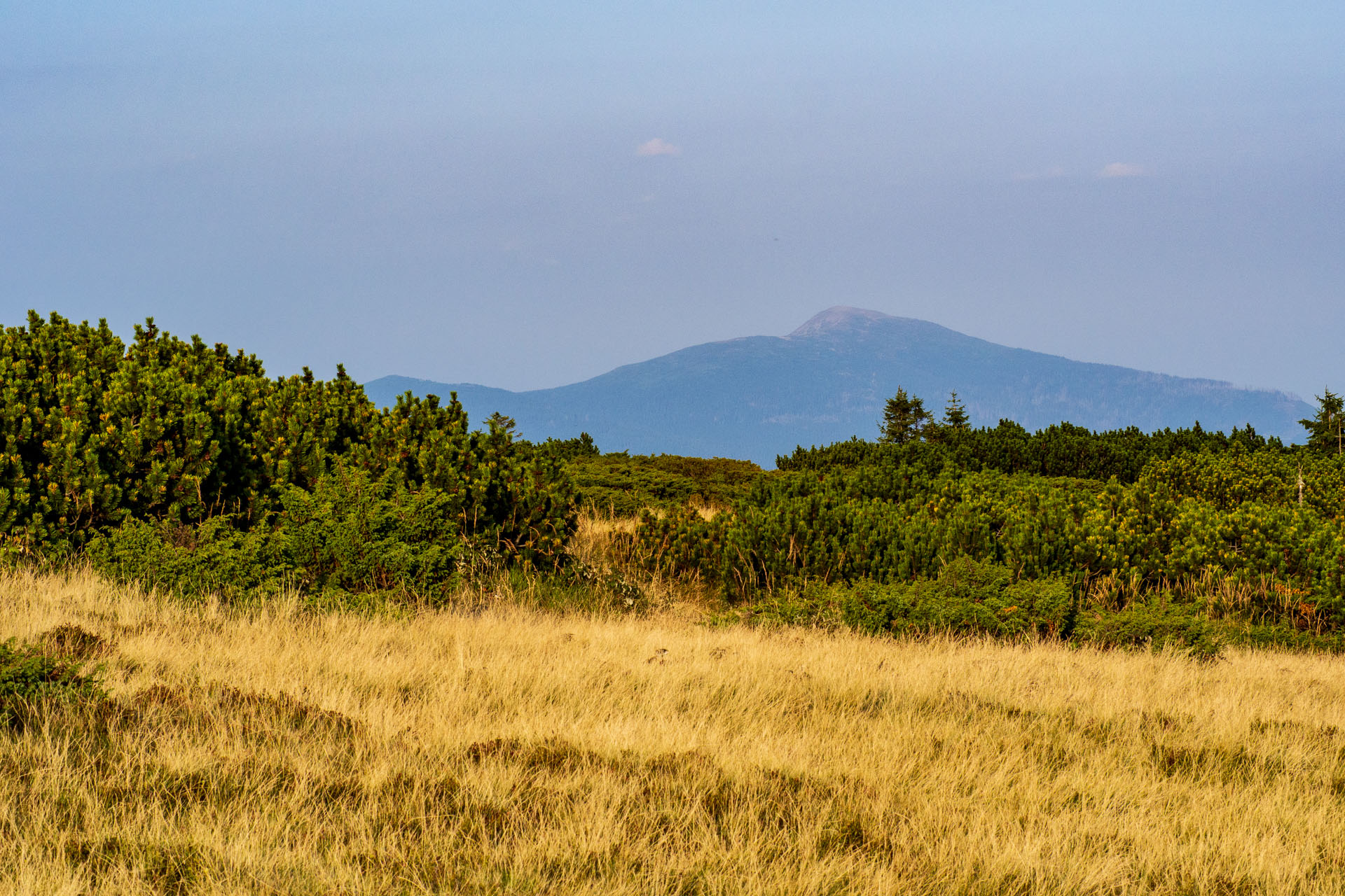 Pilsko zo sedla Hliny (Oravské Beskydy)