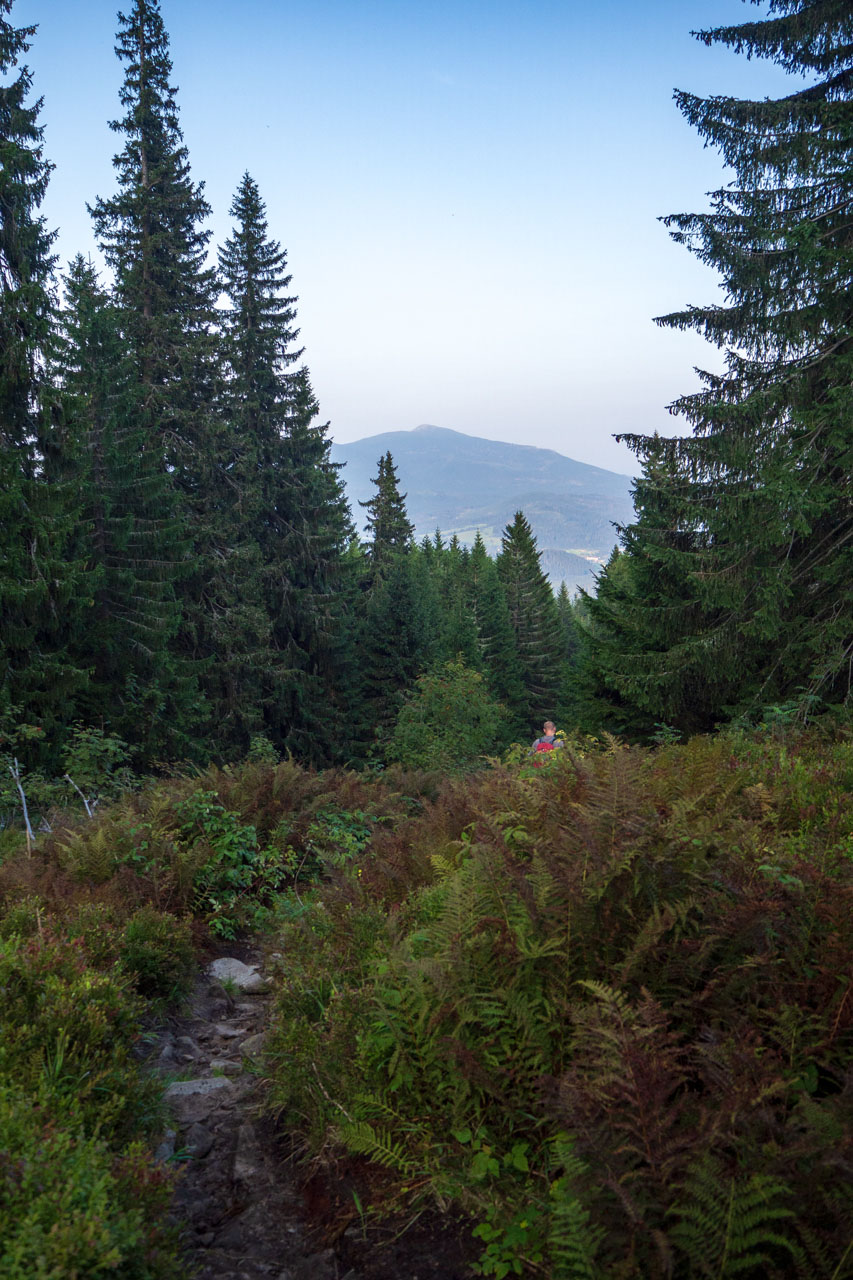 Pilsko zo sedla Hliny (Oravské Beskydy)