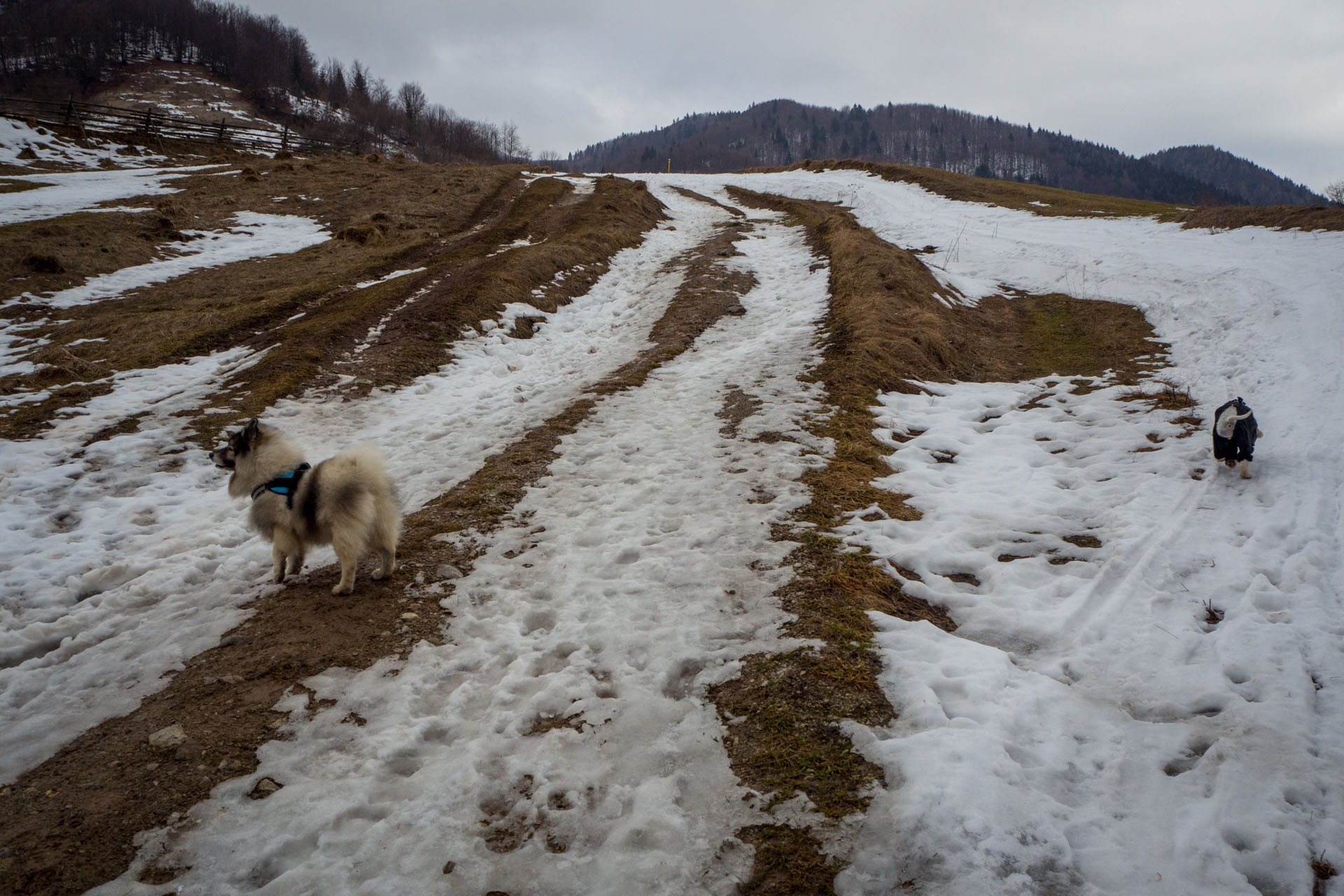 Ploská z Vyšnej Revúcej (Veľká Fatra)