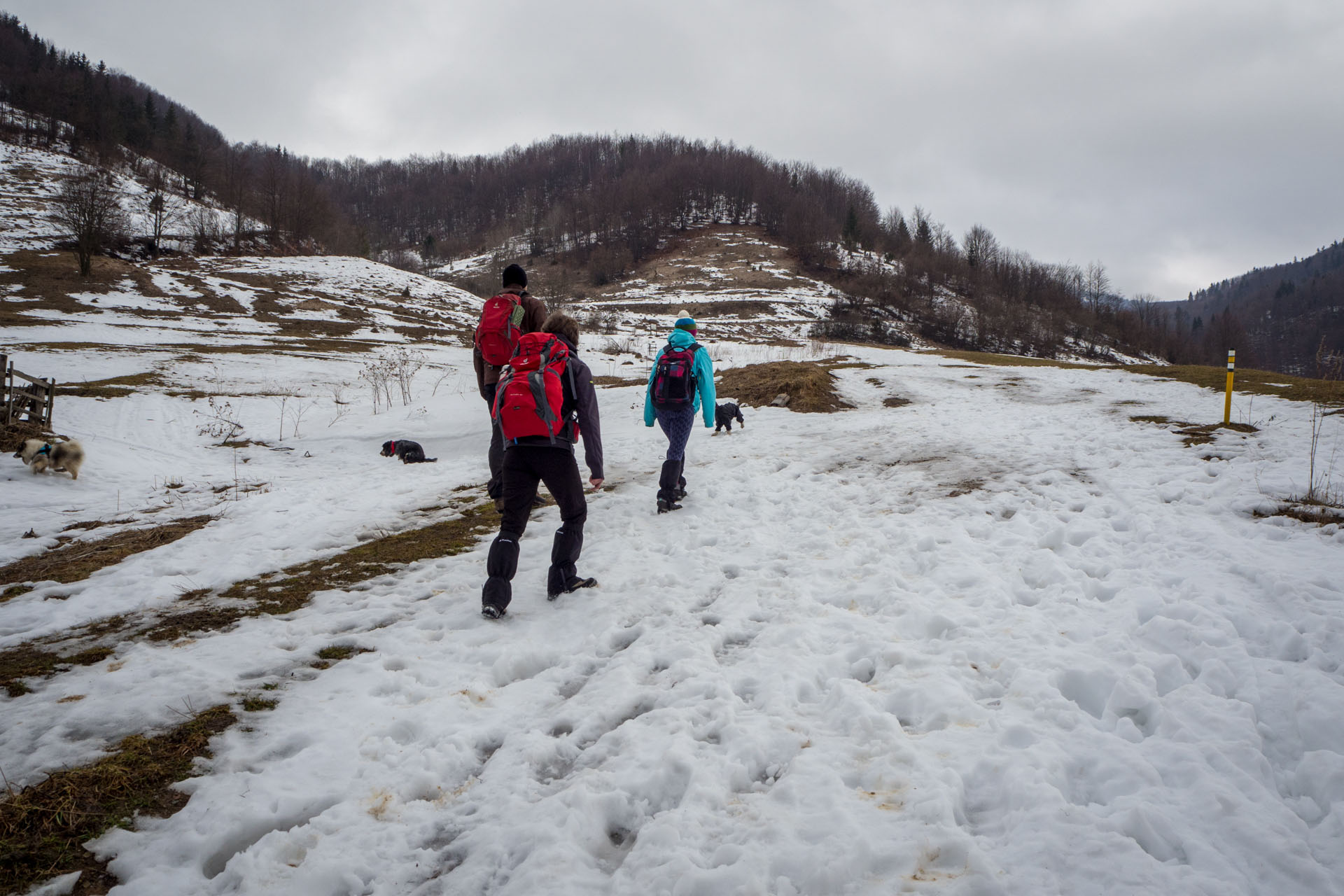 Ploská z Vyšnej Revúcej (Veľká Fatra)