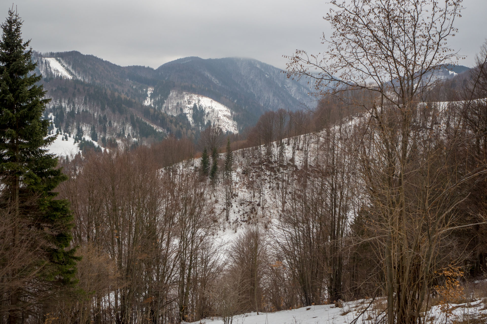 Ploská z Vyšnej Revúcej (Veľká Fatra)