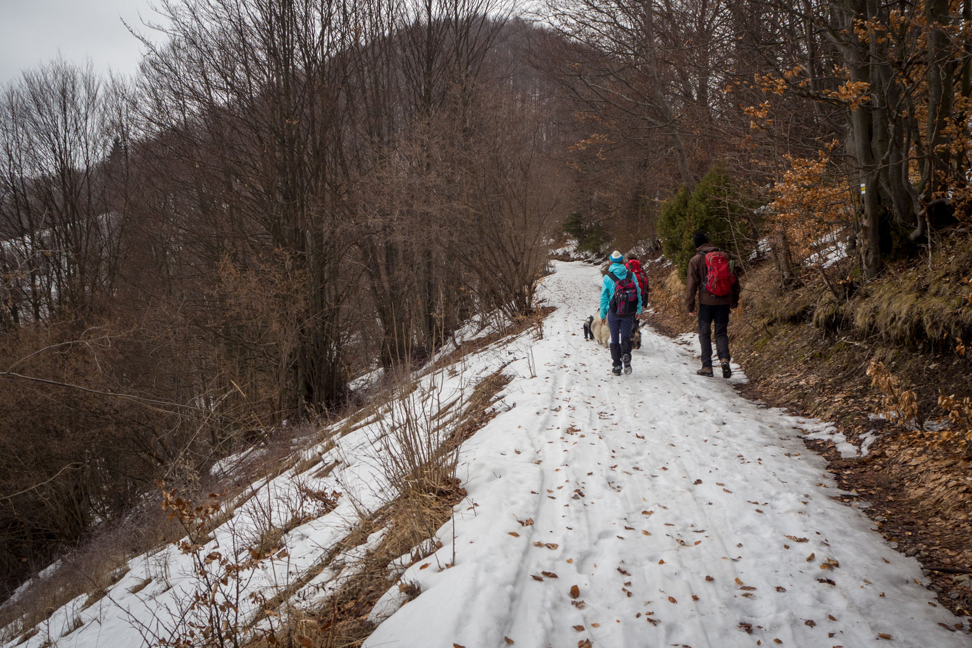 Ploská z Vyšnej Revúcej (Veľká Fatra)