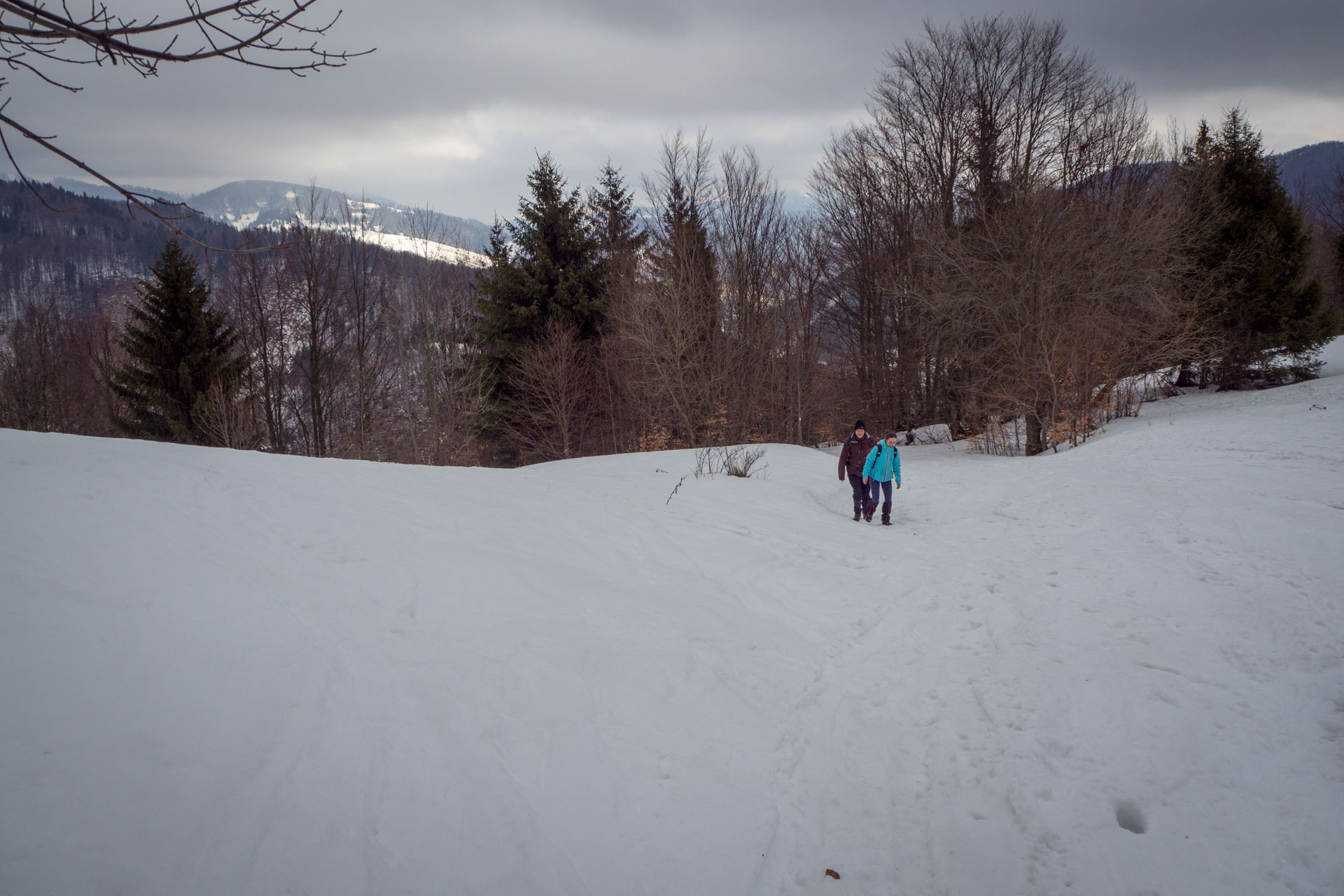 Ploská z Vyšnej Revúcej (Veľká Fatra)