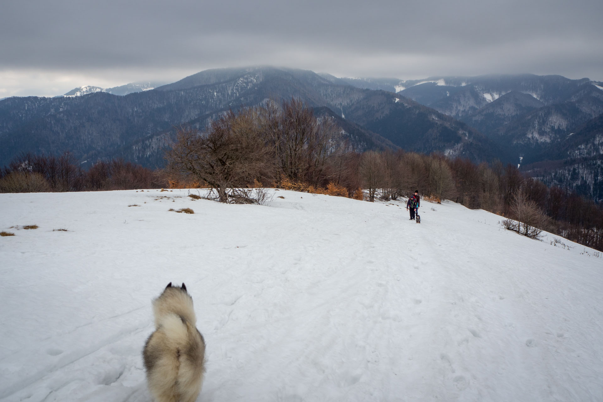 Ploská z Vyšnej Revúcej (Veľká Fatra)