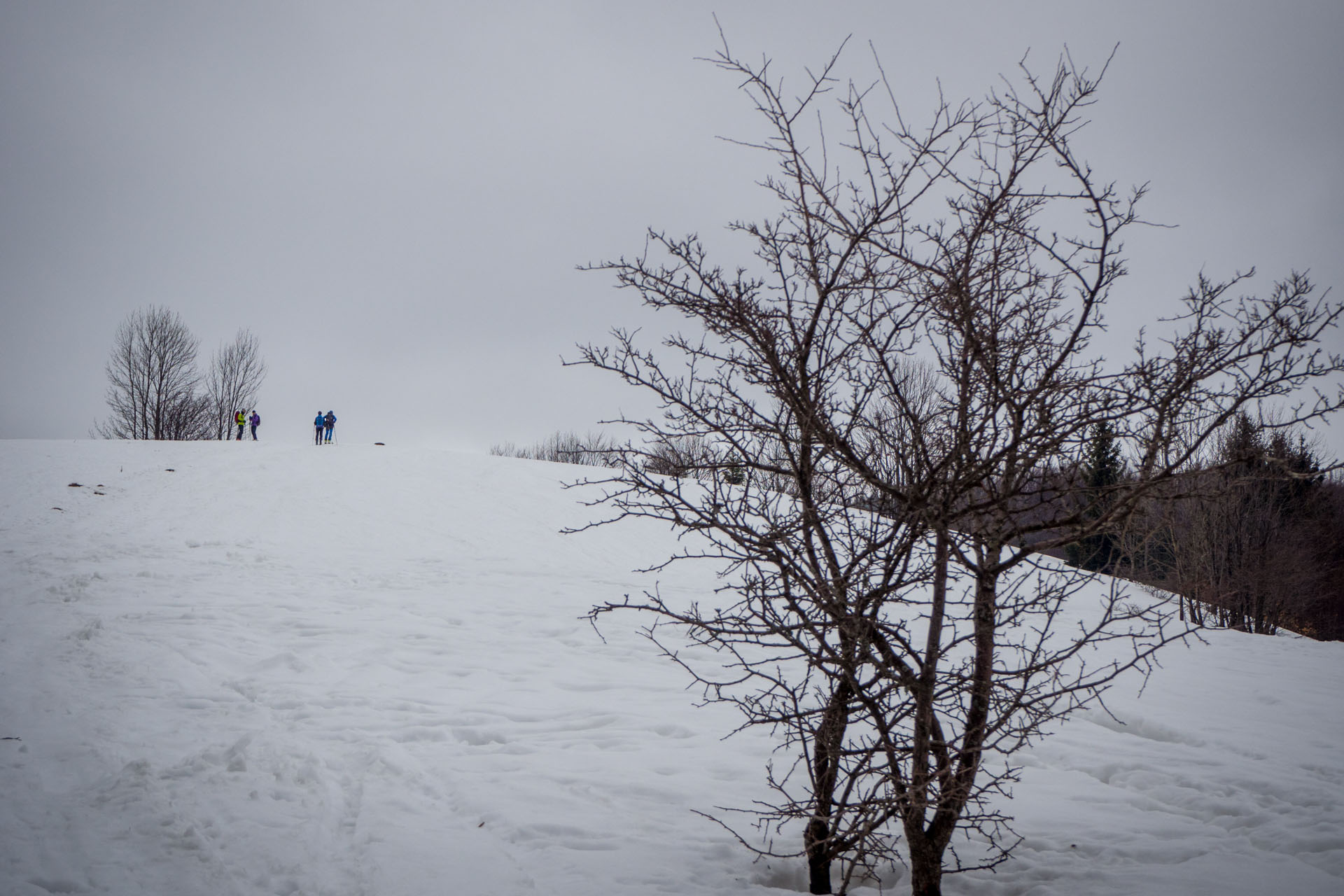 Ploská z Vyšnej Revúcej (Veľká Fatra)