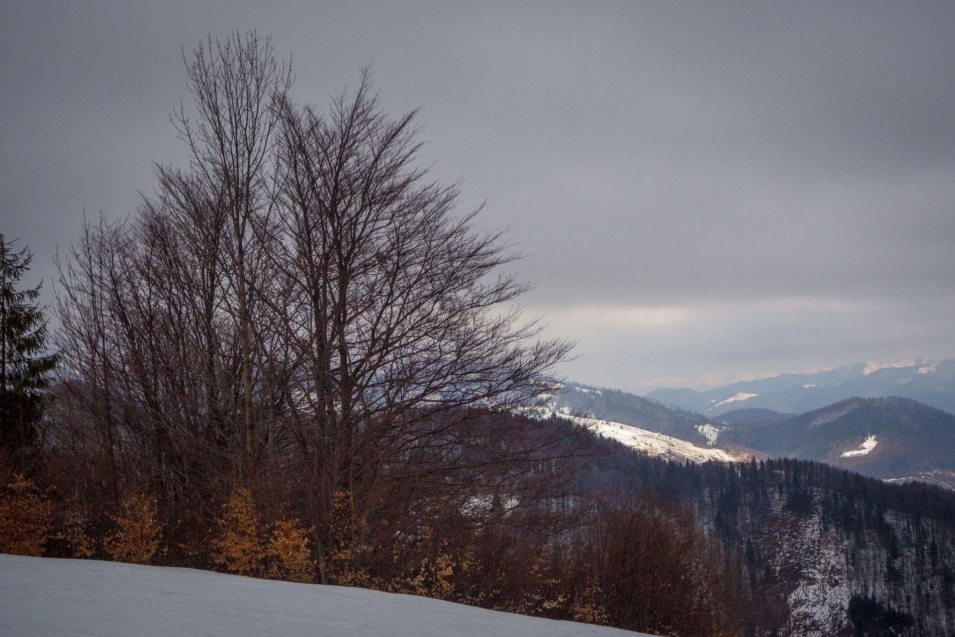 Ploská z Vyšnej Revúcej (Veľká Fatra)