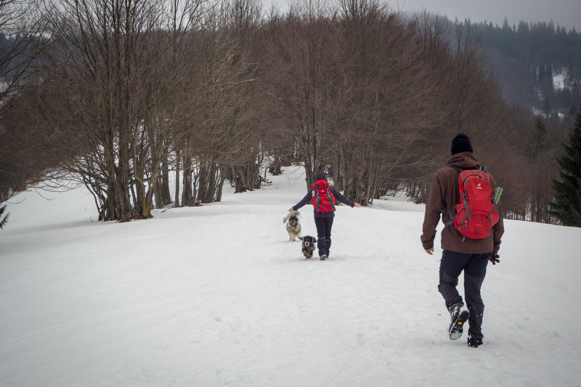 Ploská z Vyšnej Revúcej (Veľká Fatra)