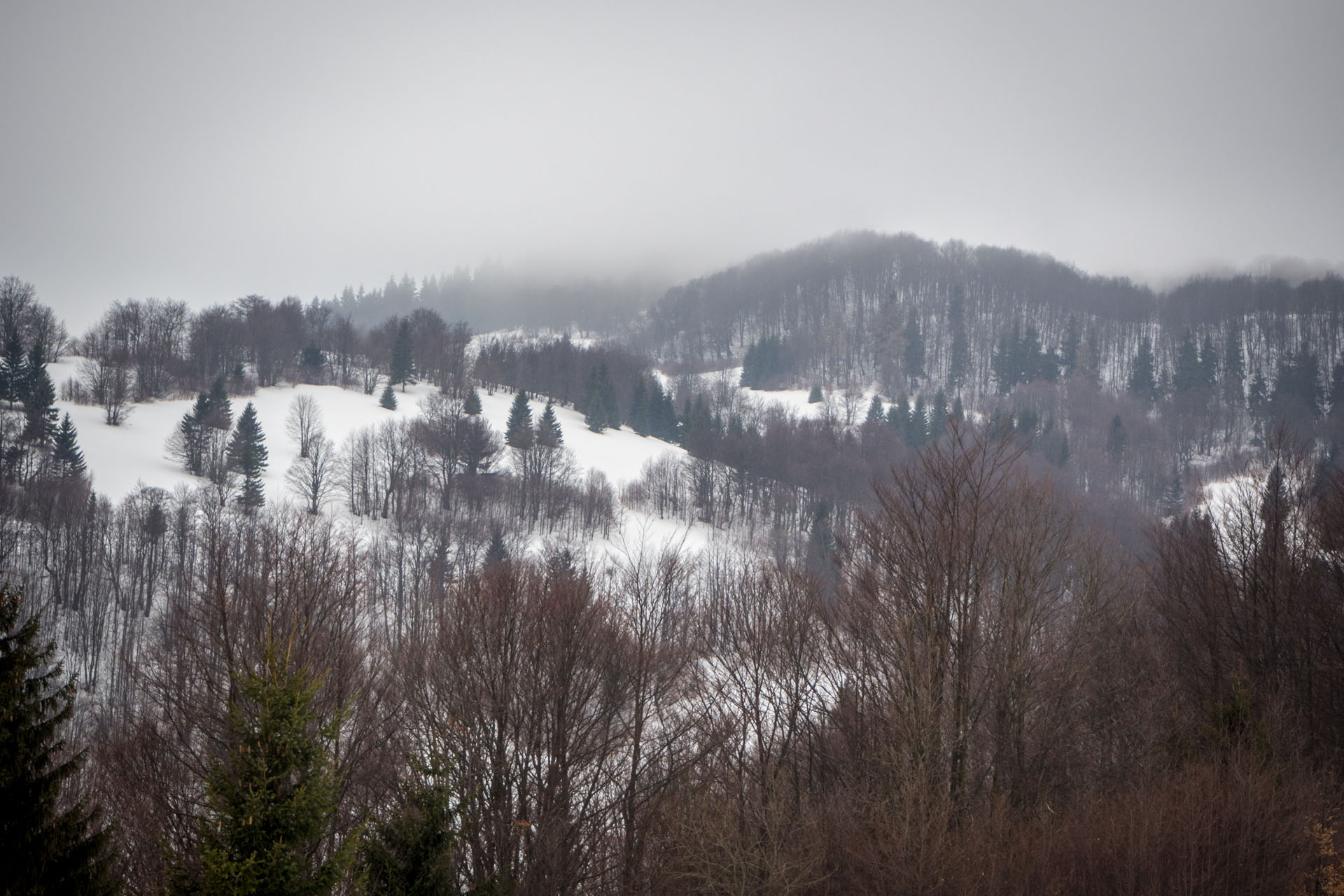 Ploská z Vyšnej Revúcej (Veľká Fatra)