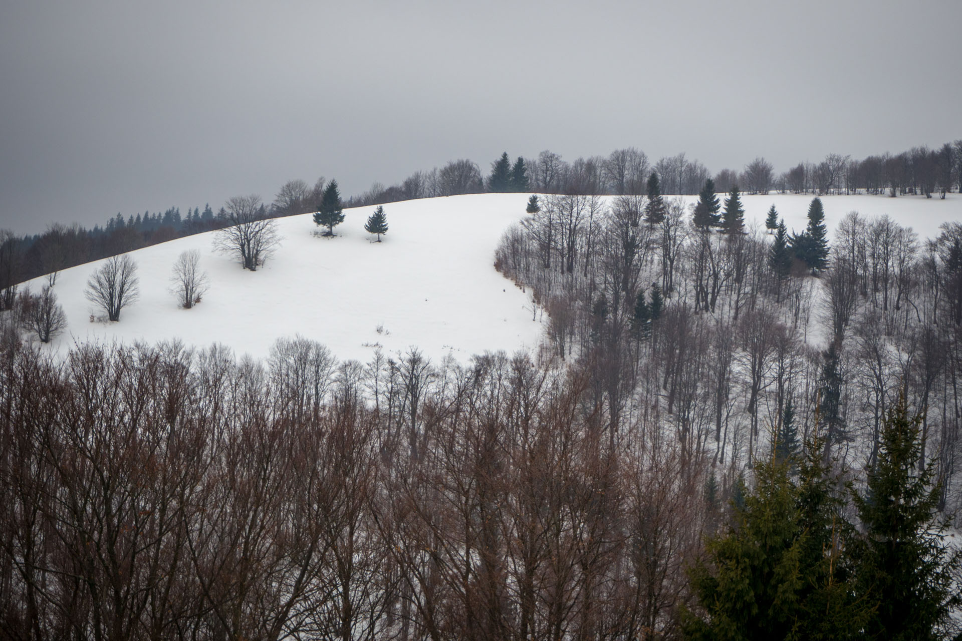 Ploská z Vyšnej Revúcej (Veľká Fatra)