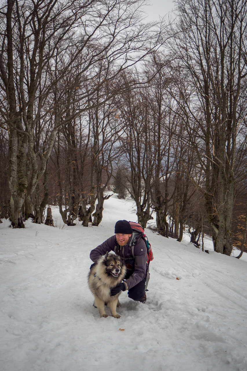 Ploská z Vyšnej Revúcej (Veľká Fatra)