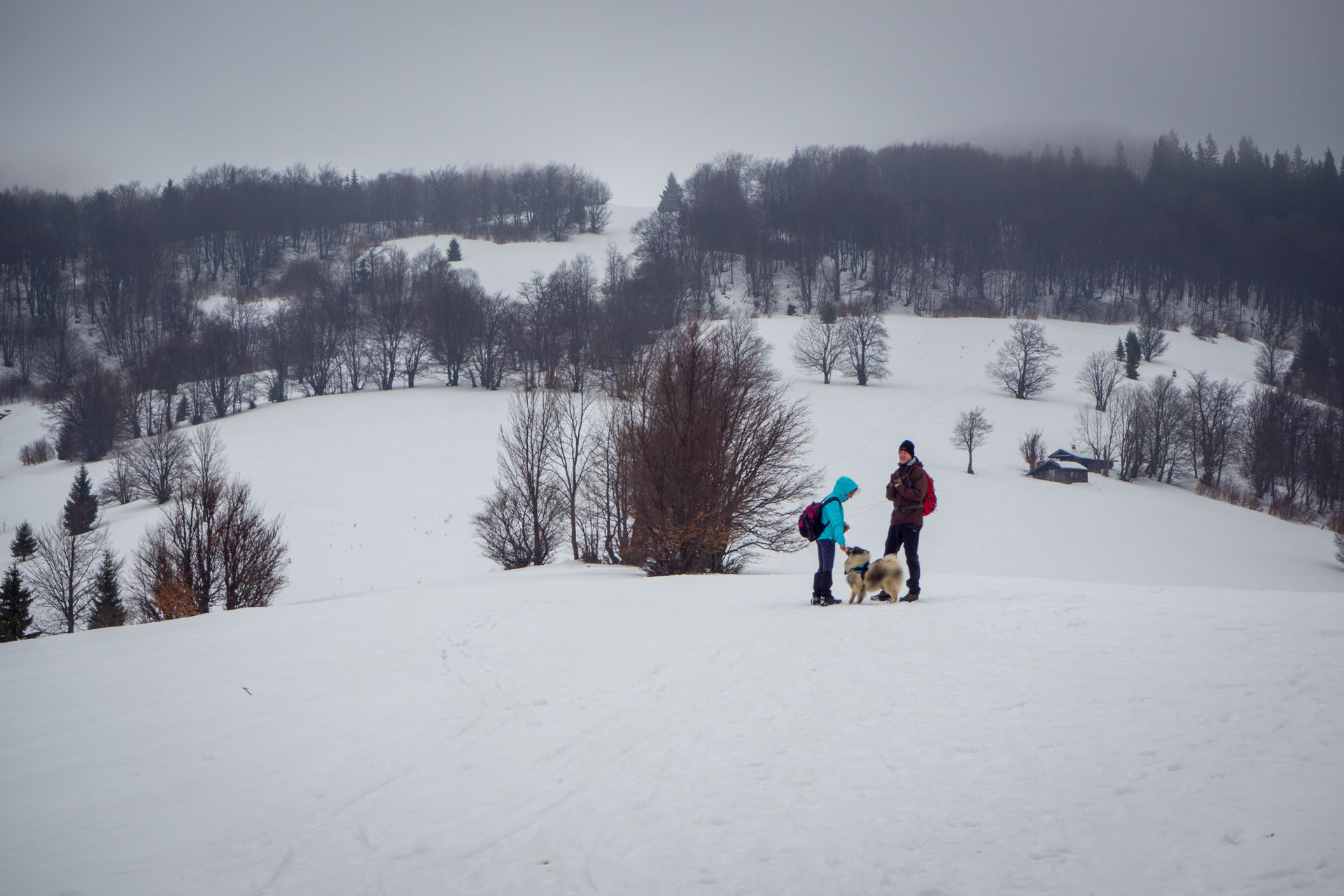 Ploská z Vyšnej Revúcej (Veľká Fatra)