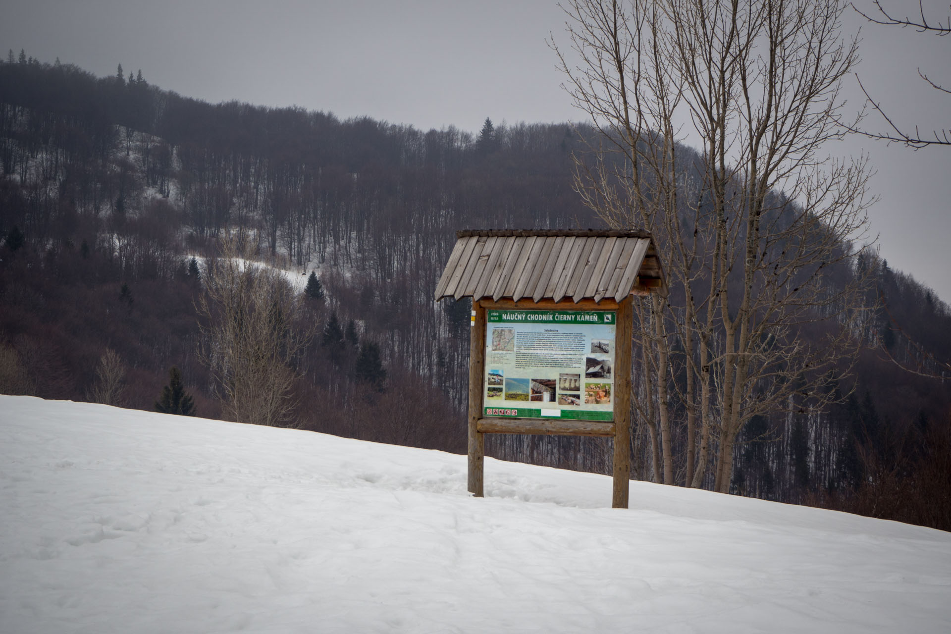 Ploská z Vyšnej Revúcej (Veľká Fatra)