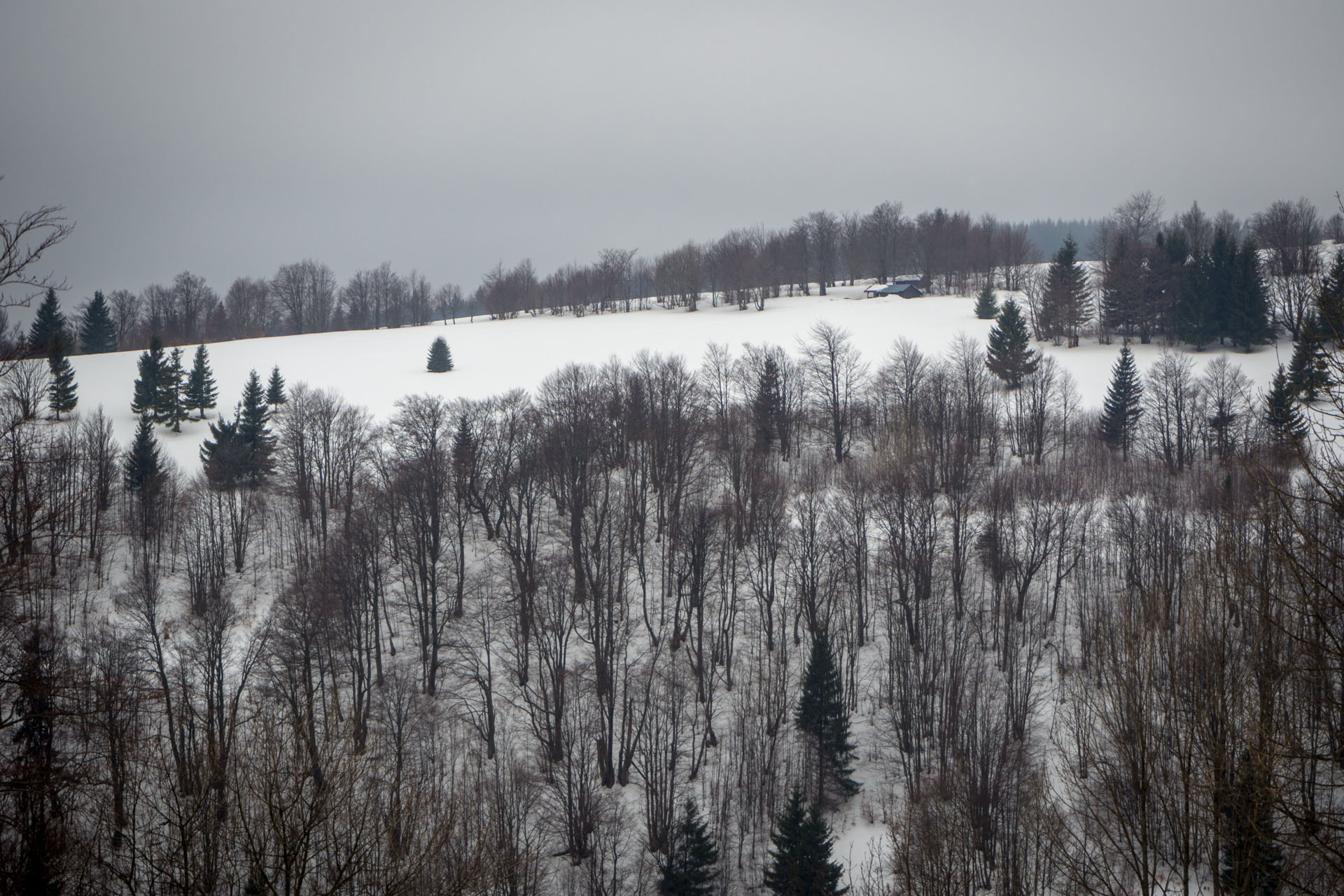 Ploská z Vyšnej Revúcej (Veľká Fatra)