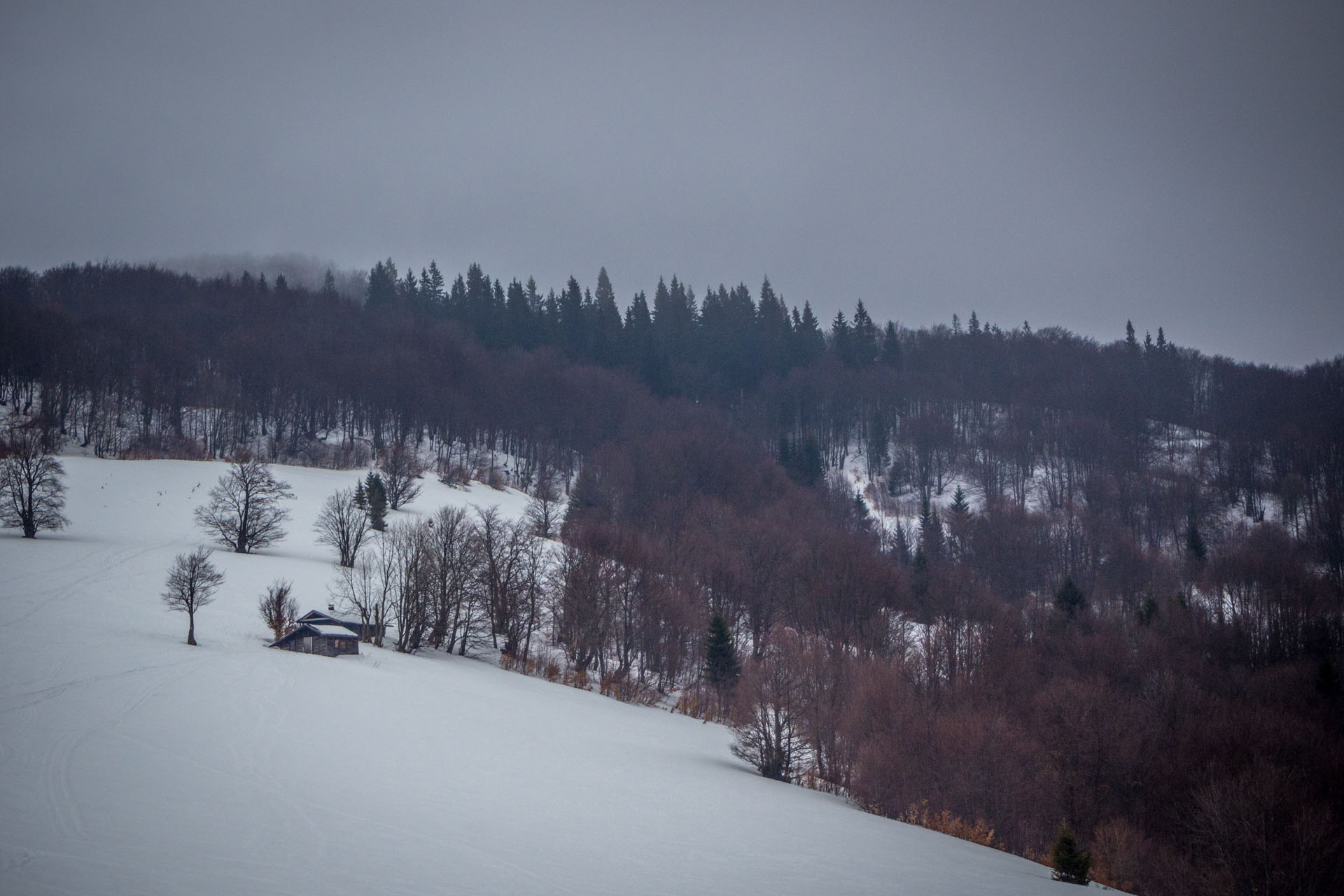 Ploská z Vyšnej Revúcej (Veľká Fatra)