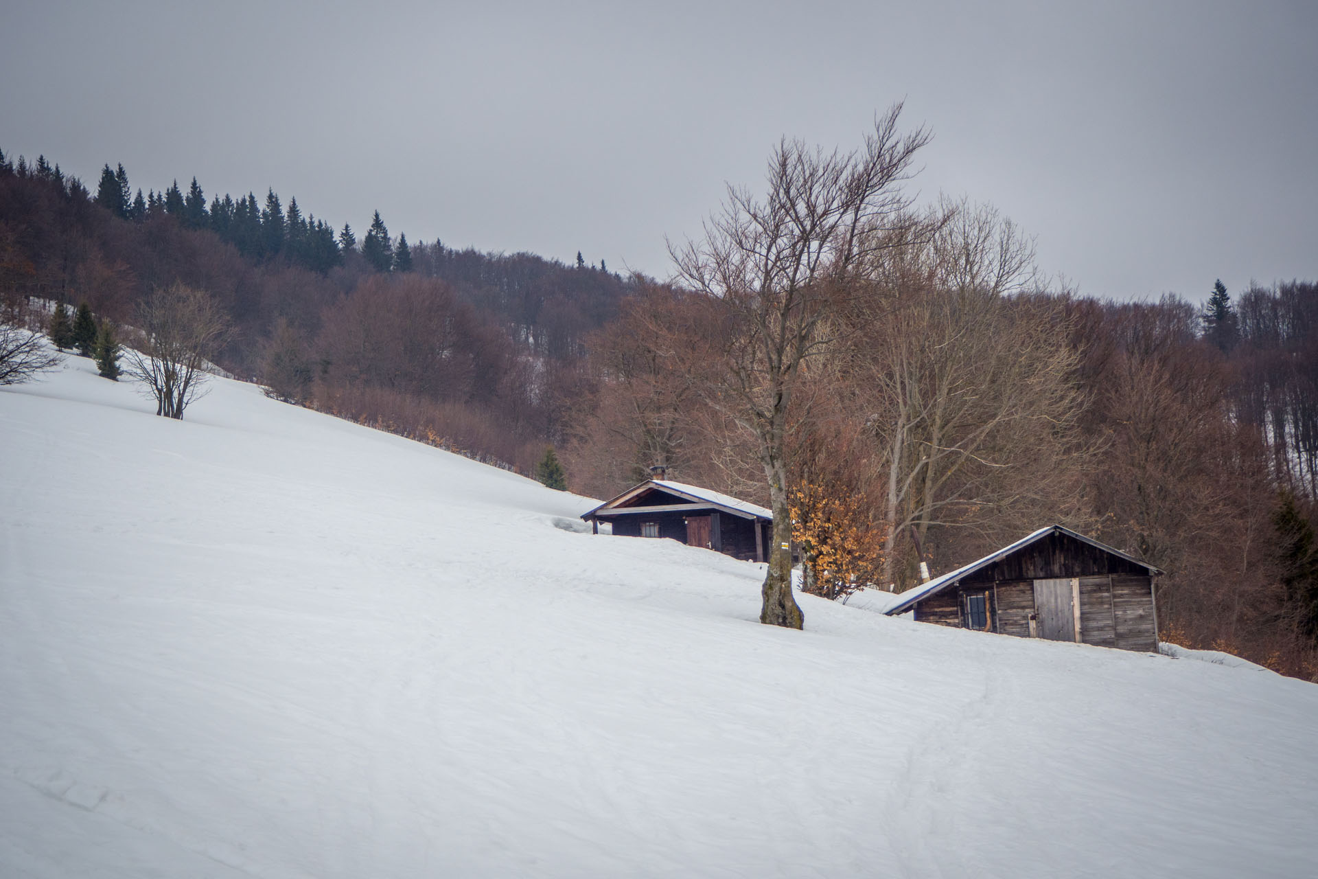 Ploská z Vyšnej Revúcej (Veľká Fatra)