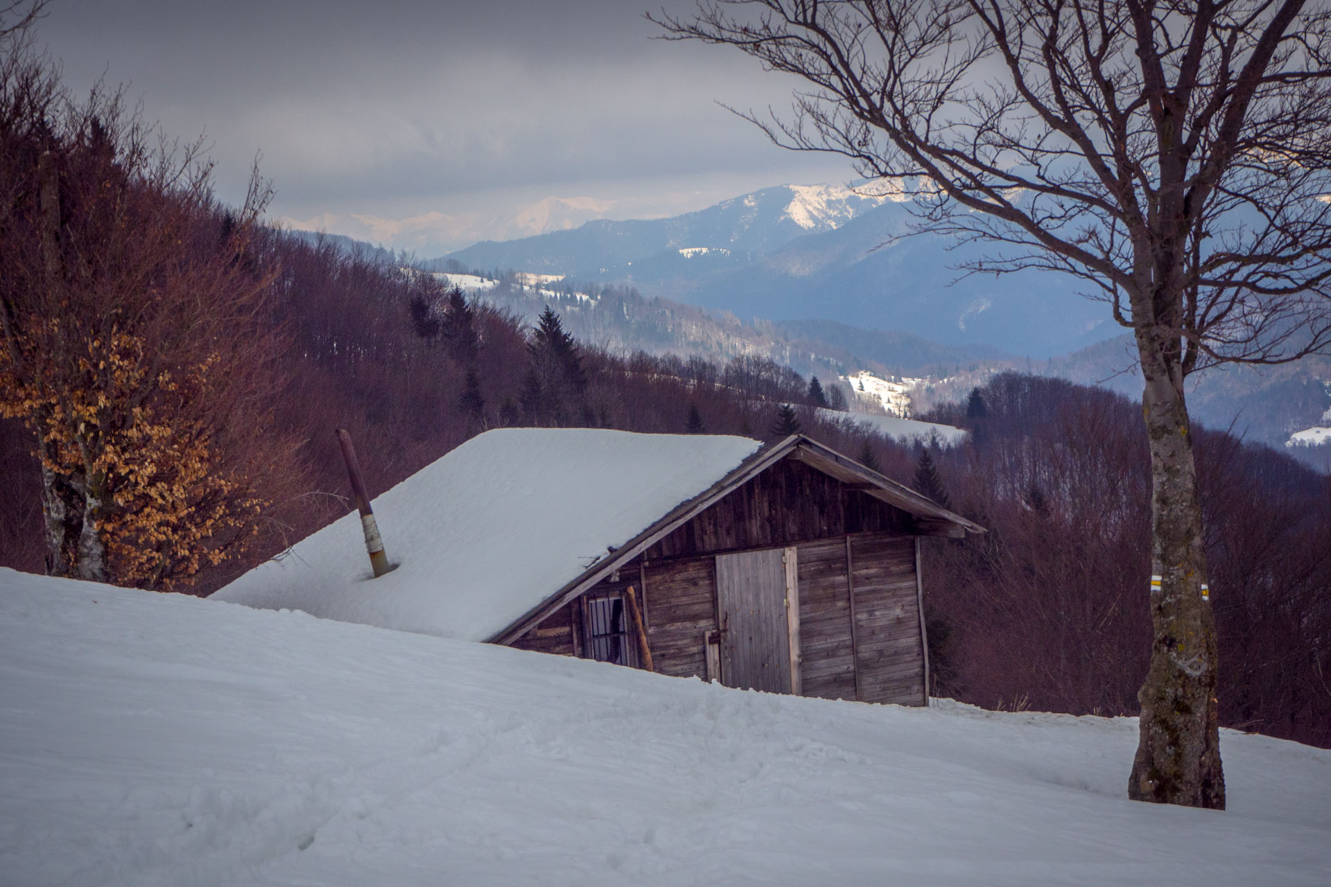 Ploská z Vyšnej Revúcej (Veľká Fatra)