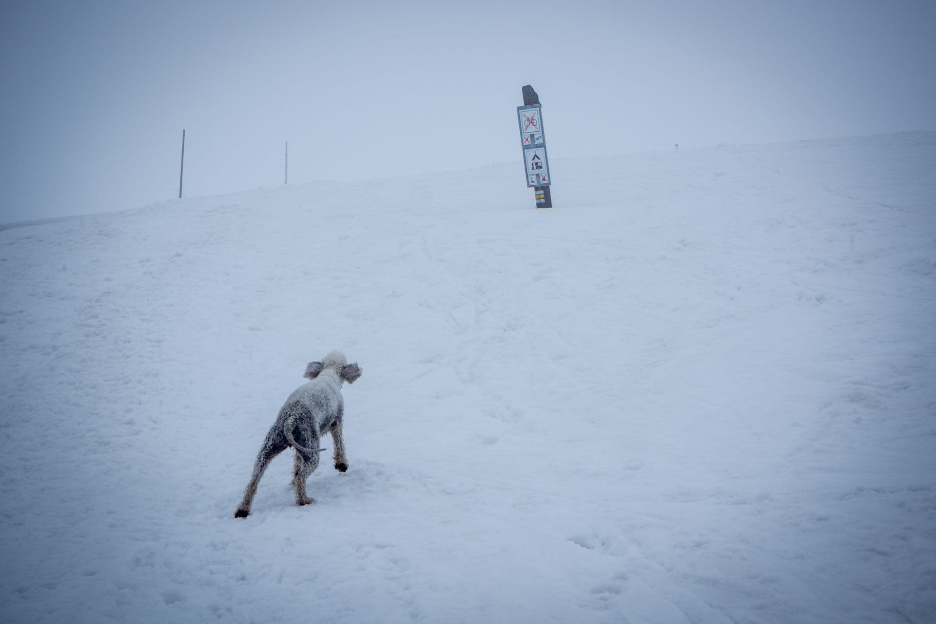 Ploská z Vyšnej Revúcej (Veľká Fatra)