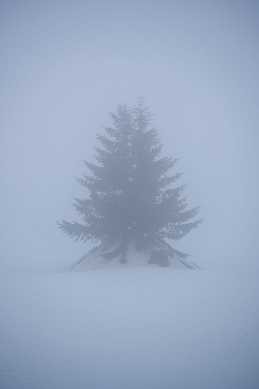 Ploská z Vyšnej Revúcej (Veľká Fatra)