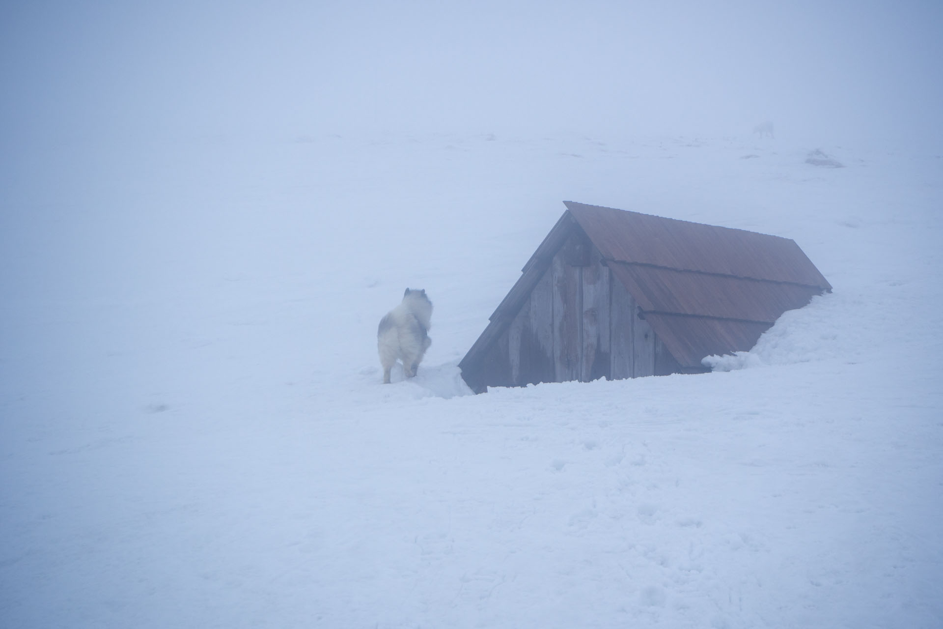 Ploská z Vyšnej Revúcej (Veľká Fatra)