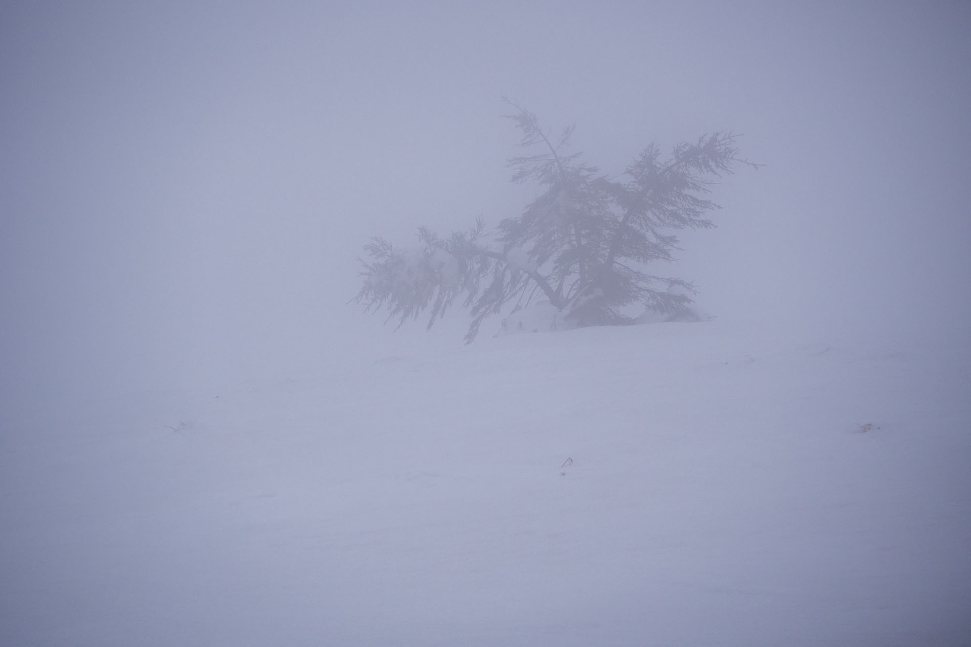 Ploská z Vyšnej Revúcej (Veľká Fatra)