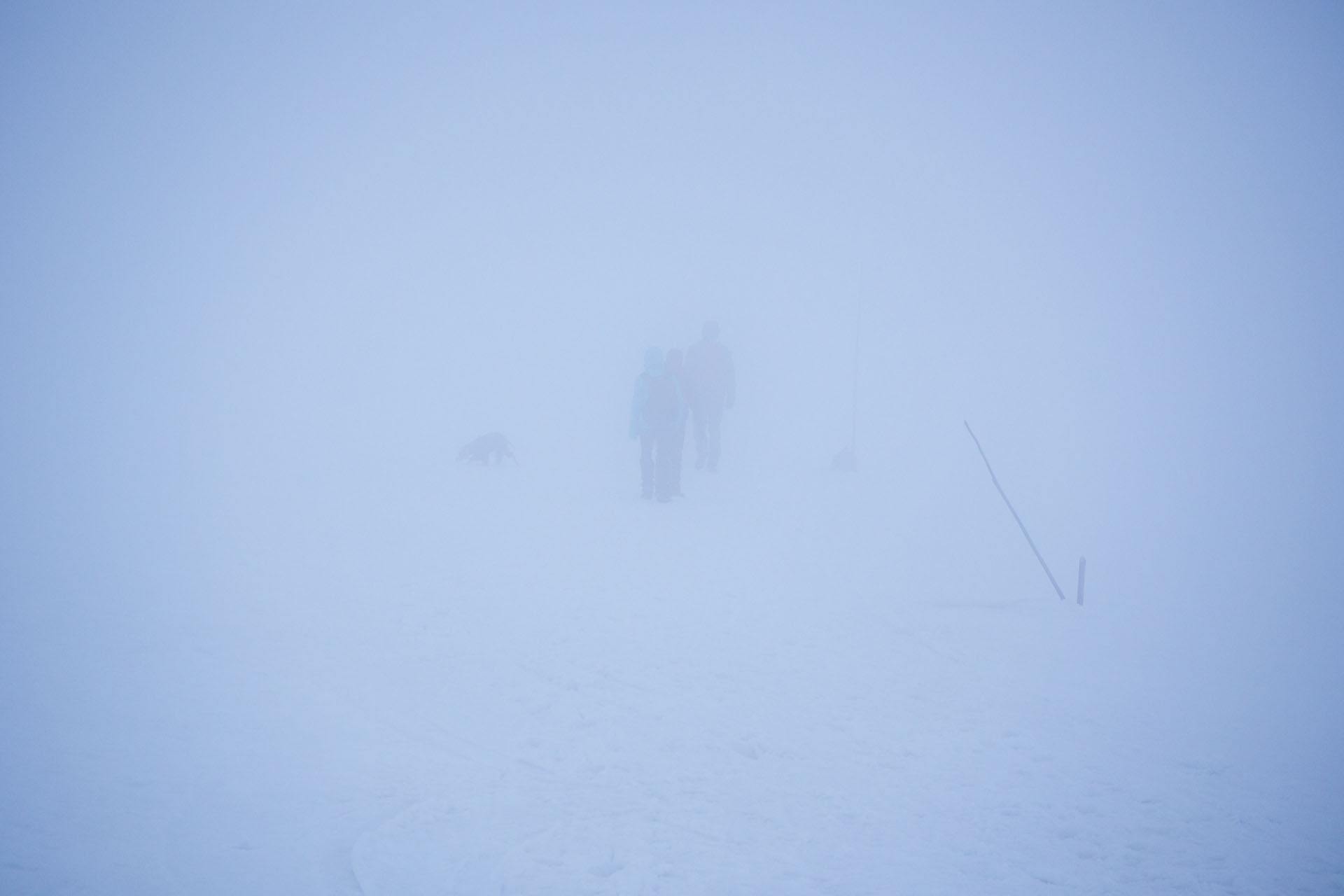 Ploská z Vyšnej Revúcej (Veľká Fatra)