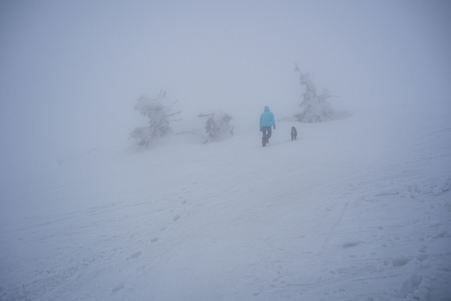 Ploská z Vyšnej Revúcej (Veľká Fatra)