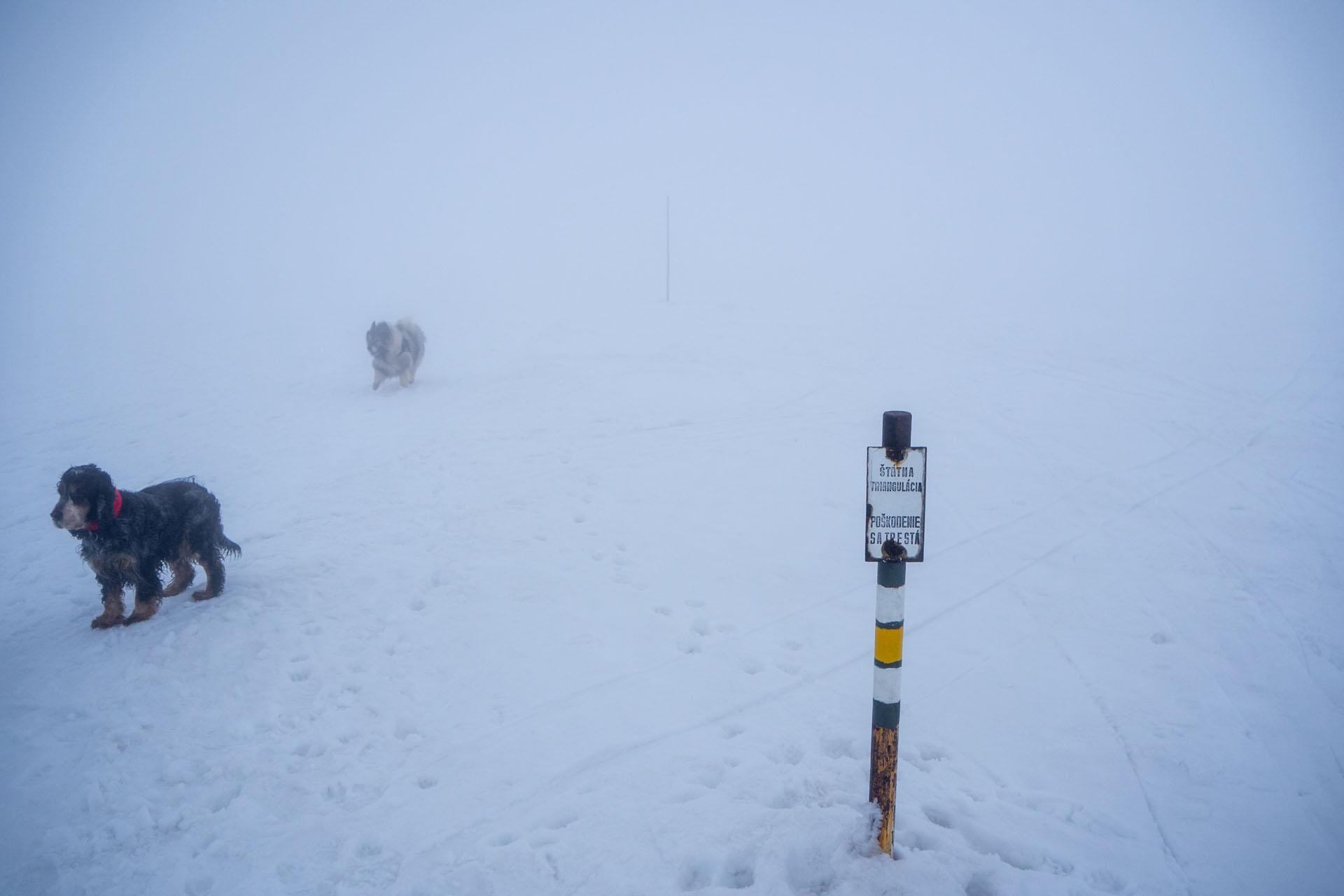 Ploská z Vyšnej Revúcej (Veľká Fatra)