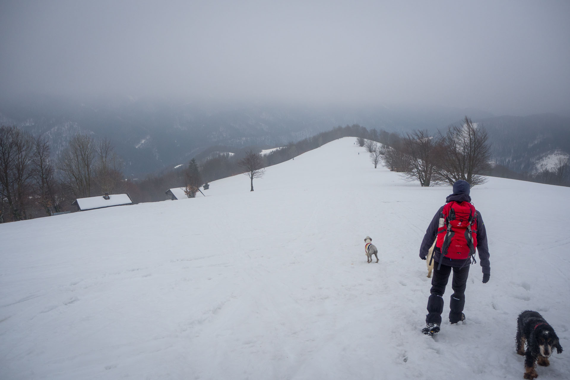 Ploská z Vyšnej Revúcej (Veľká Fatra)