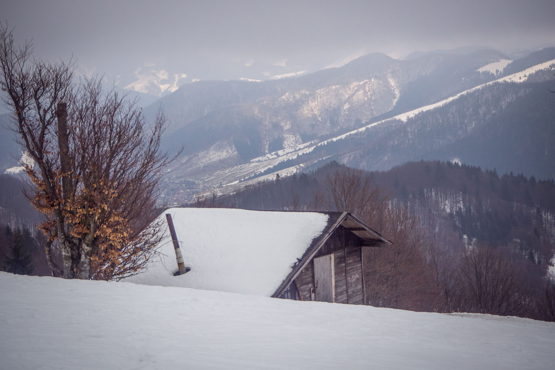 Ploská z Vyšnej Revúcej (Veľká Fatra)