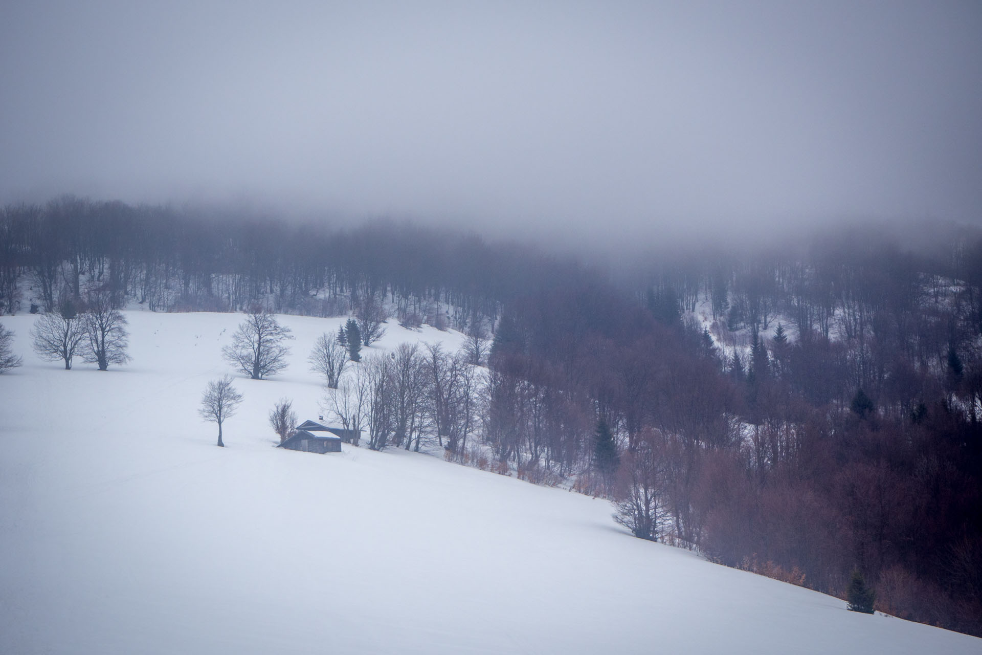 Ploská z Vyšnej Revúcej (Veľká Fatra)