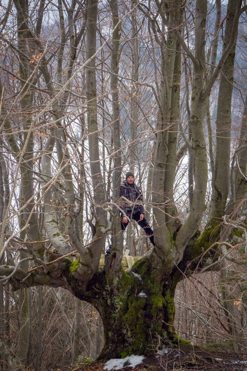 Ploská z Vyšnej Revúcej (Veľká Fatra)