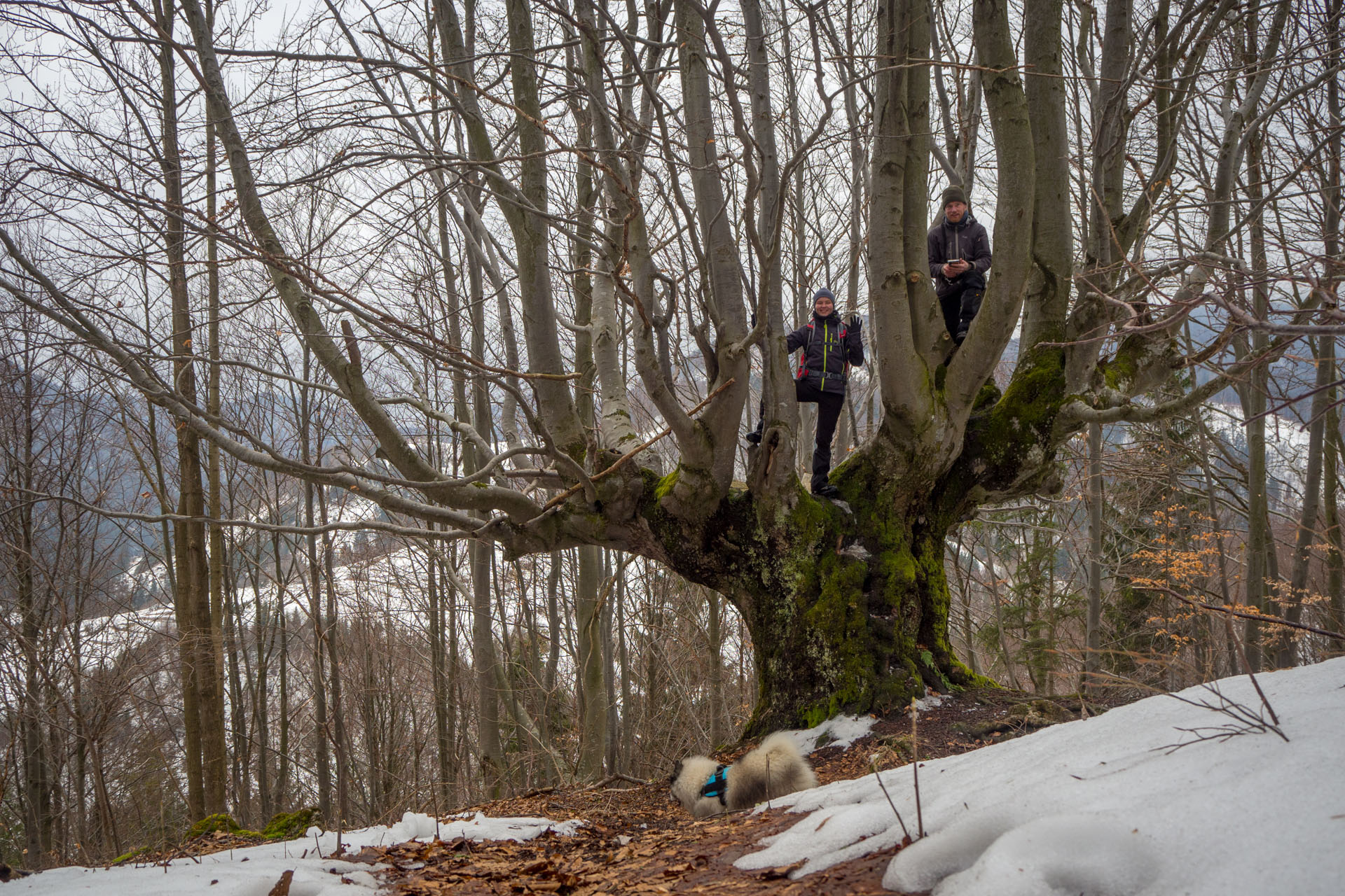 Ploská z Vyšnej Revúcej (Veľká Fatra)