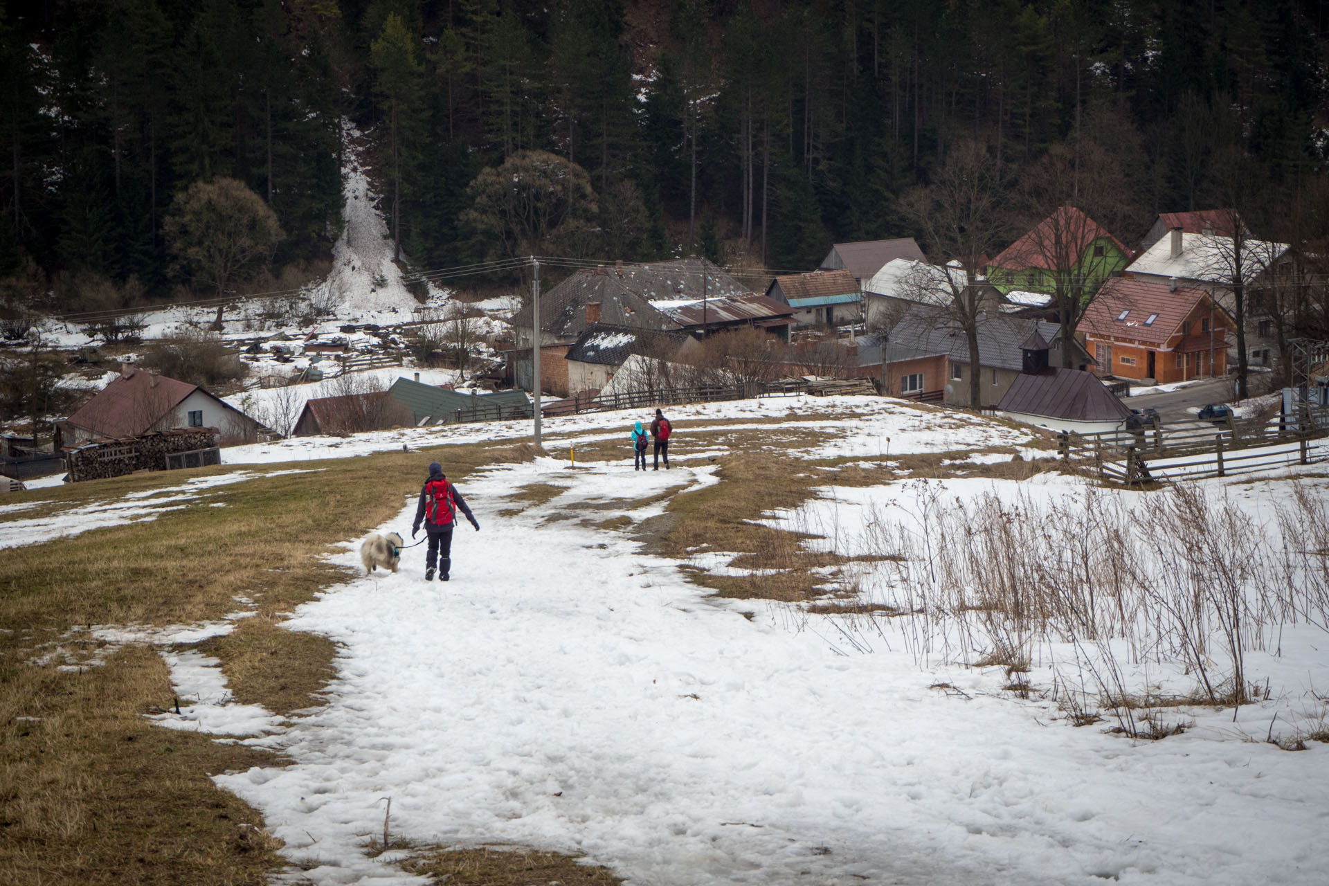 Ploská z Vyšnej Revúcej (Veľká Fatra)