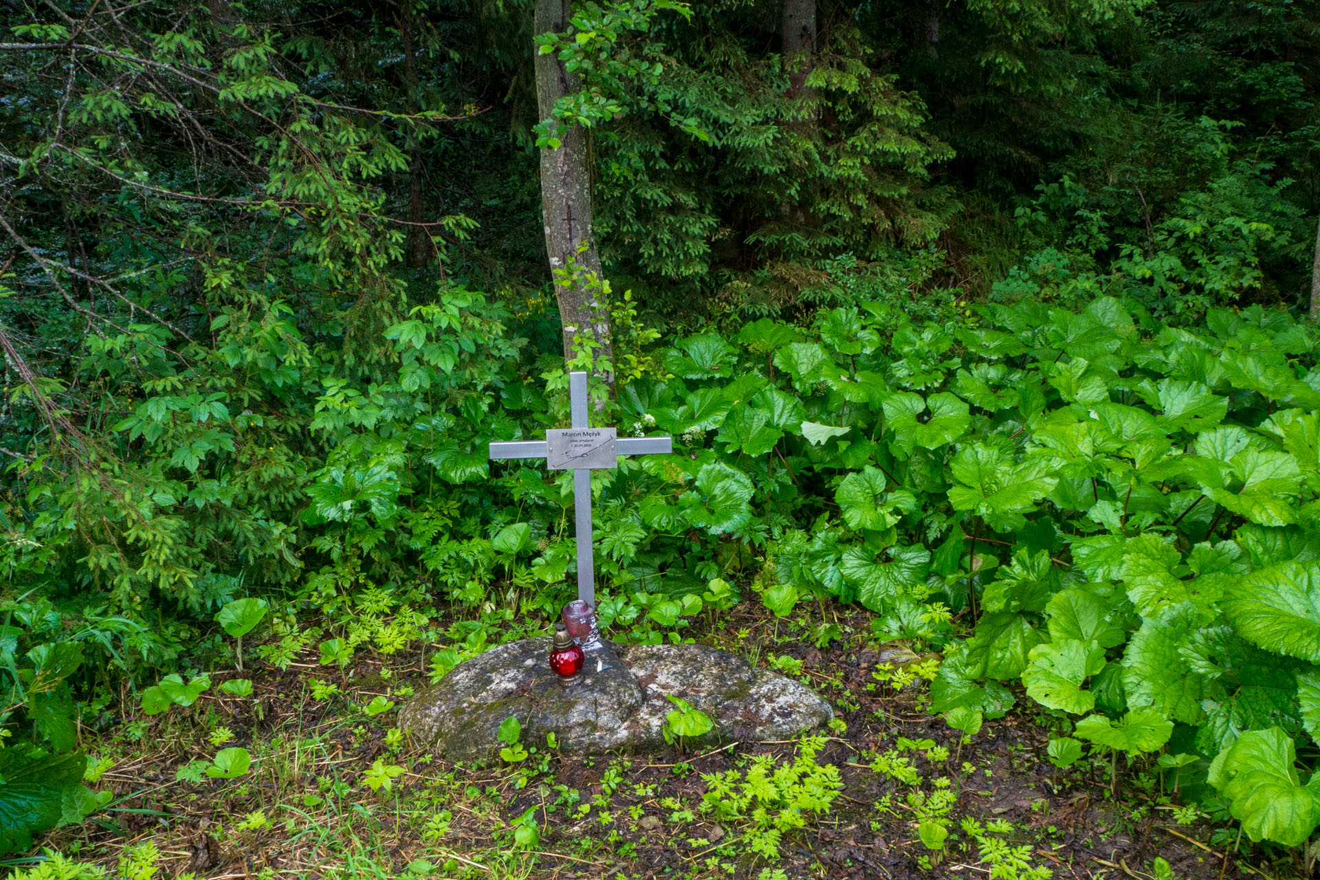 Poľský hrebeň z Lysej Poľany (Vysoké Tatry)