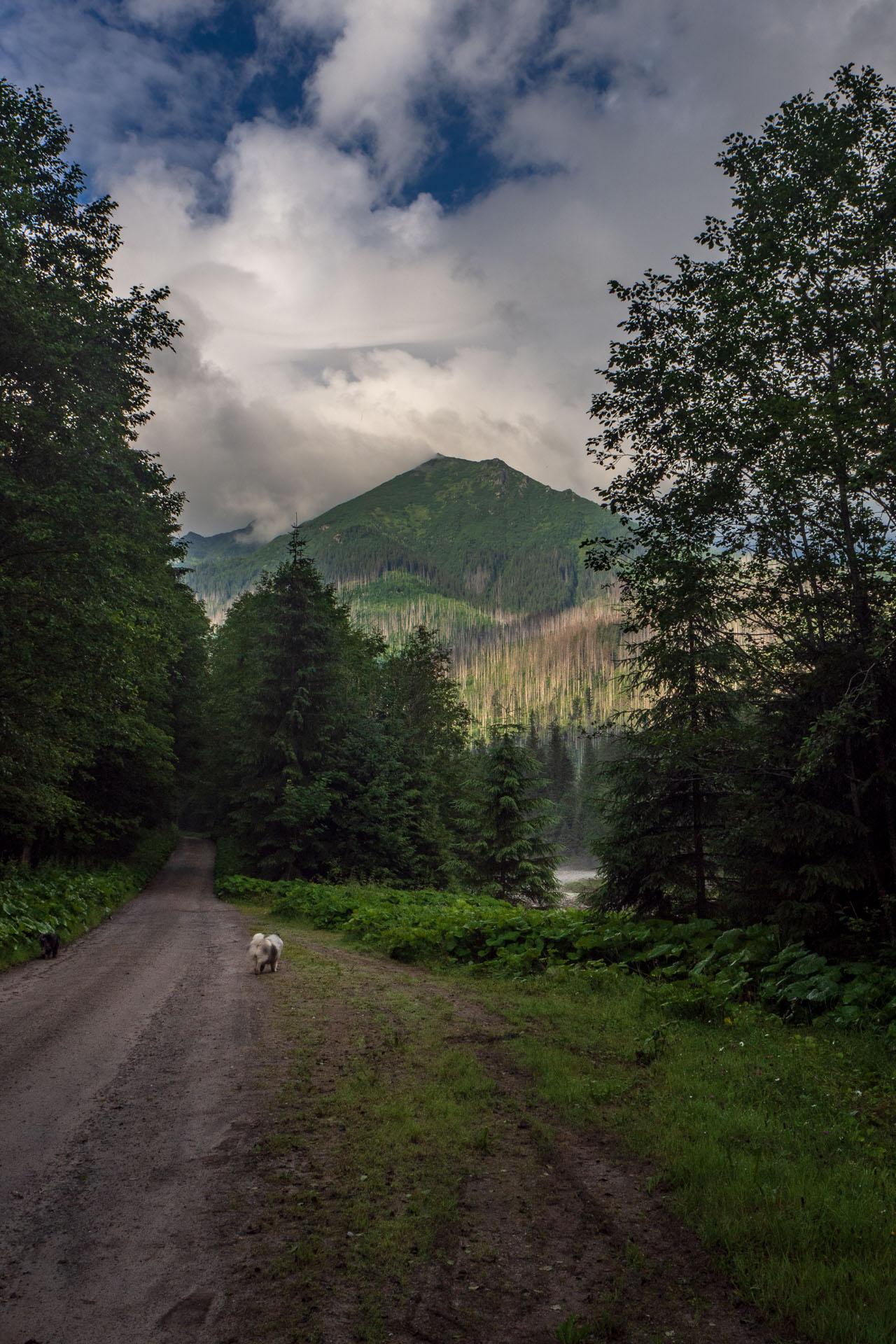 Poľský hrebeň z Lysej Poľany (Vysoké Tatry)